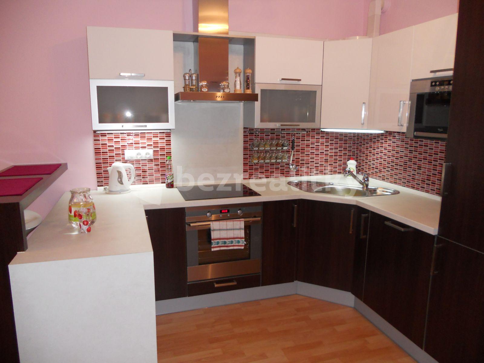 1 bedroom with open-plan kitchen flat to rent, 56 m², Svitákova, Prague, Prague