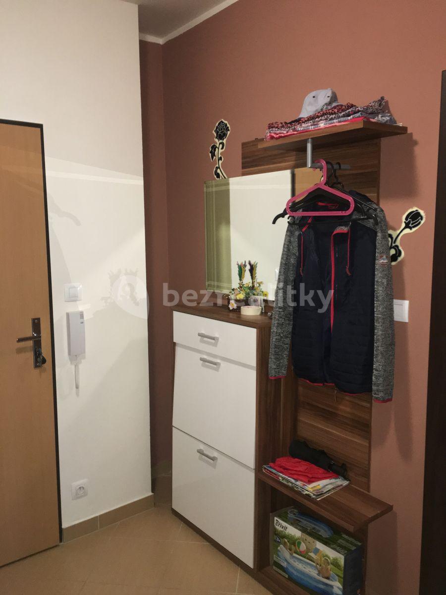 1 bedroom with open-plan kitchen flat to rent, 56 m², Svitákova, Prague, Prague