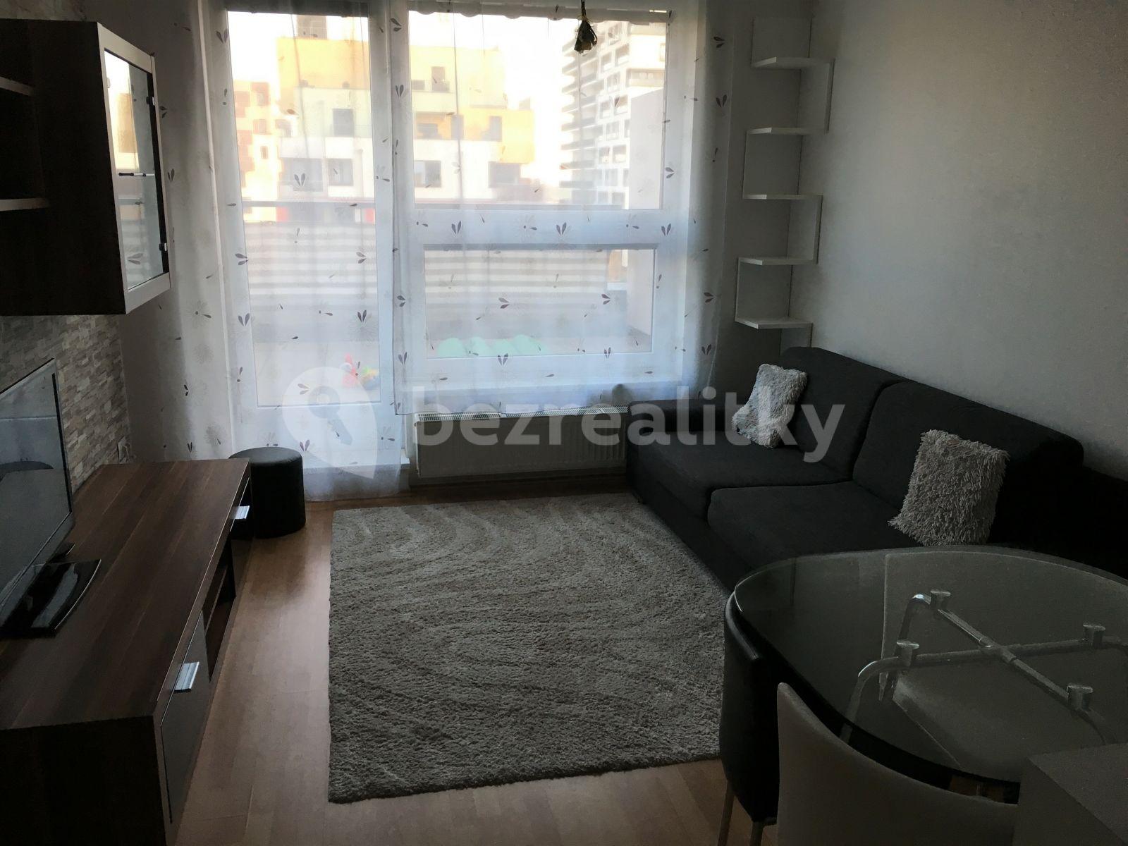 1 bedroom with open-plan kitchen flat to rent, 56 m², Svitákova, Prague, Prague