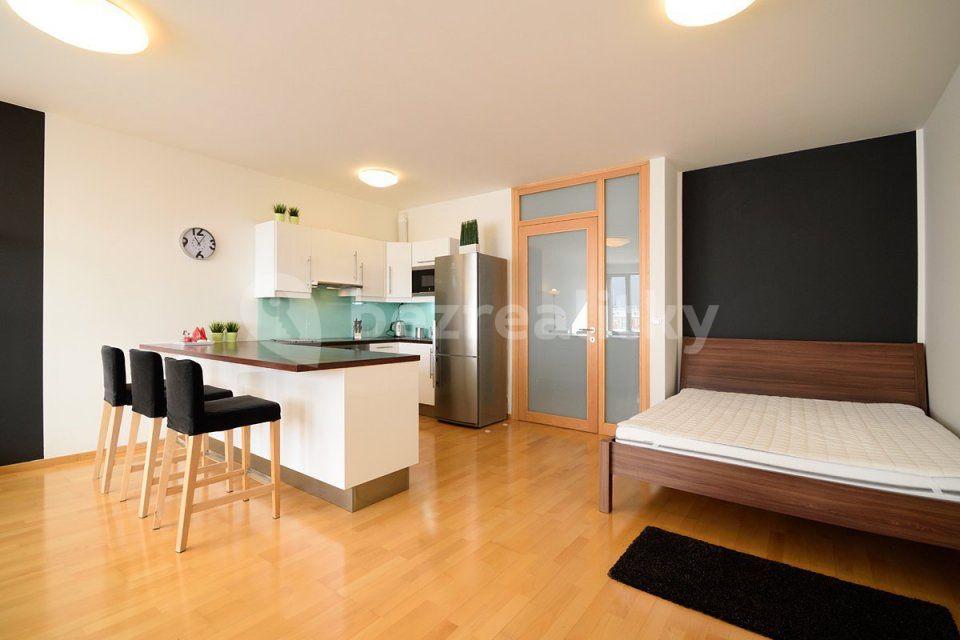 Studio flat to rent, 48 m², Litoměřická, Prague, Prague