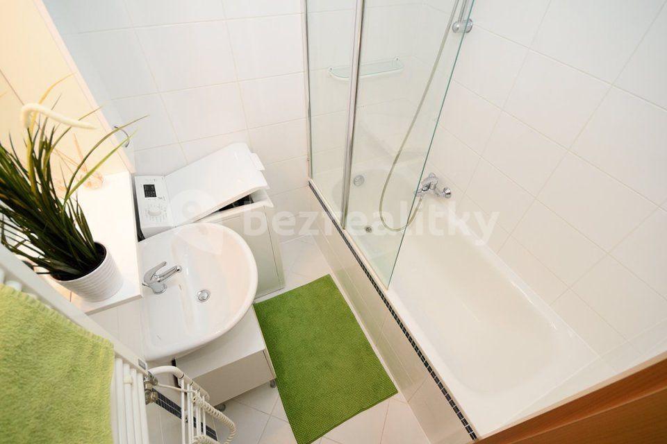 Studio flat to rent, 48 m², Litoměřická, Prague, Prague