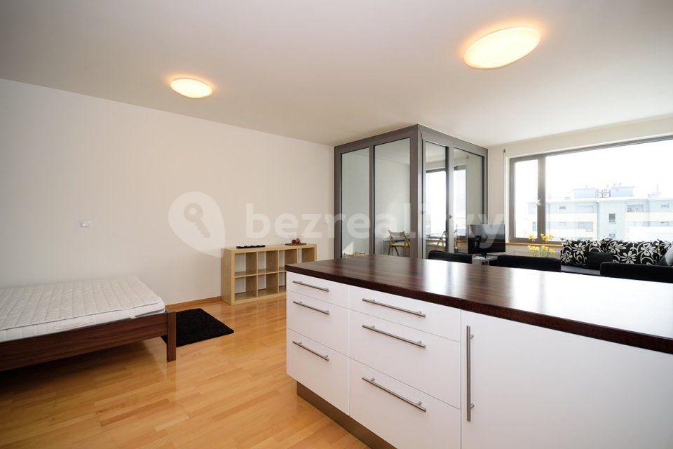 Studio flat to rent, 48 m², Litoměřická, Prague, Prague