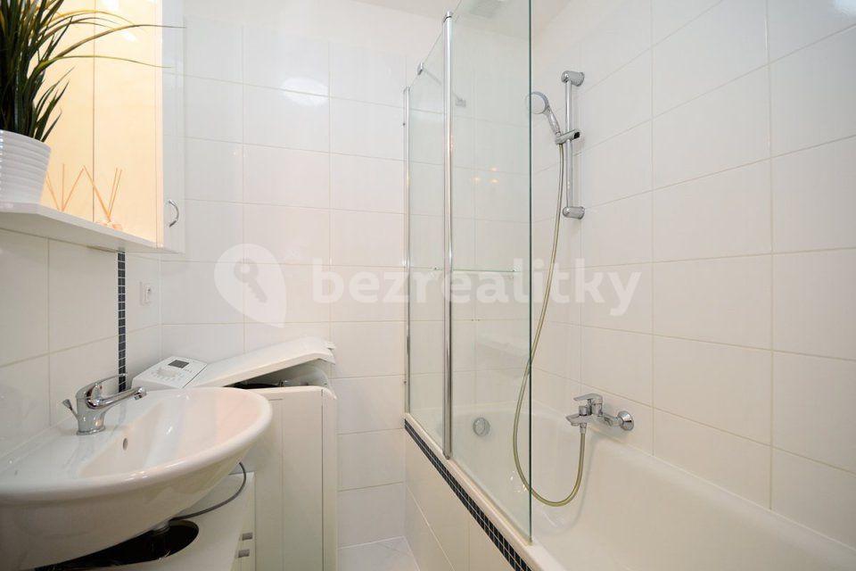 Studio flat to rent, 48 m², Litoměřická, Prague, Prague