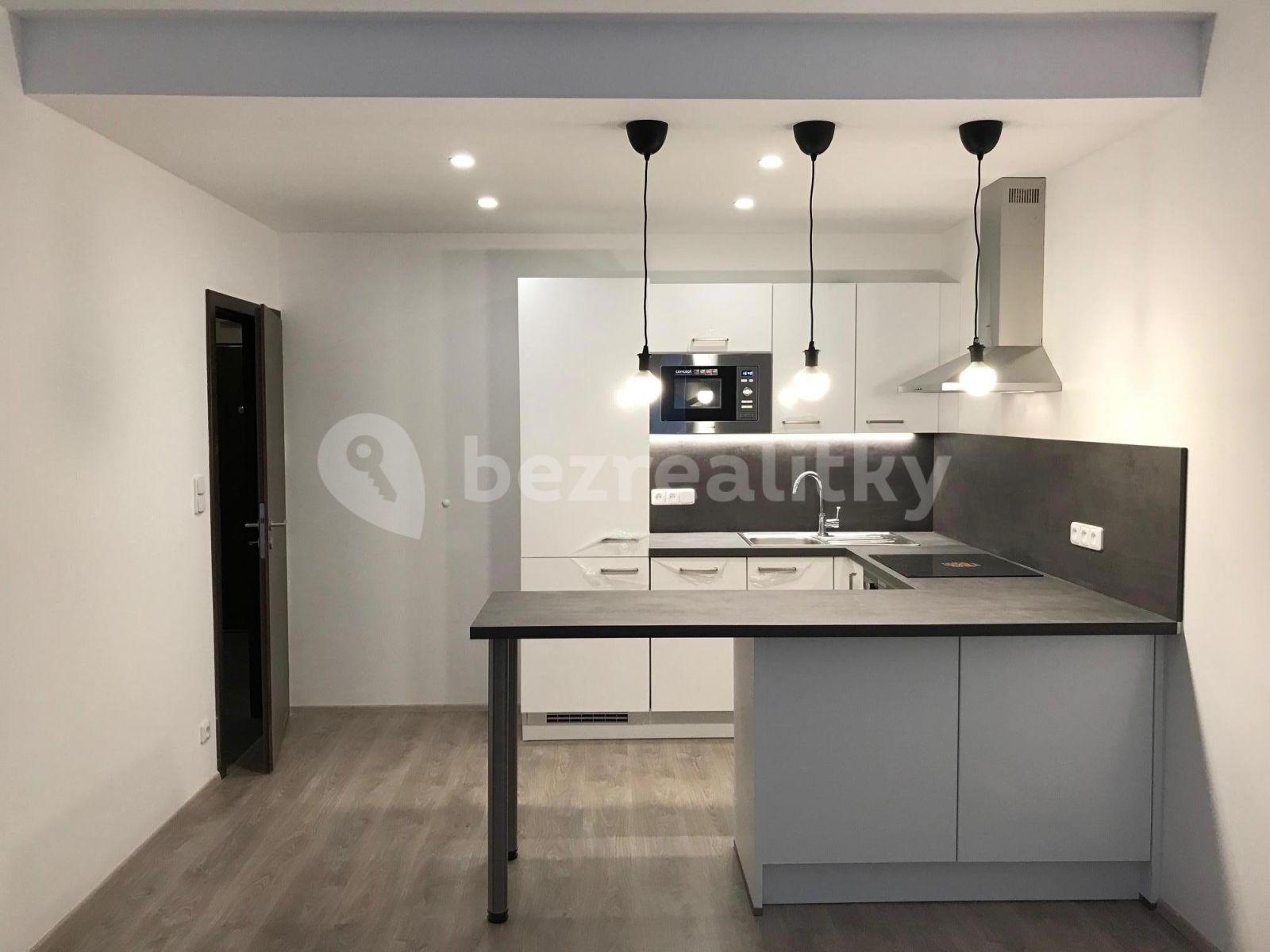 1 bedroom with open-plan kitchen flat to rent, 61 m², Makedonská, Prague, Prague