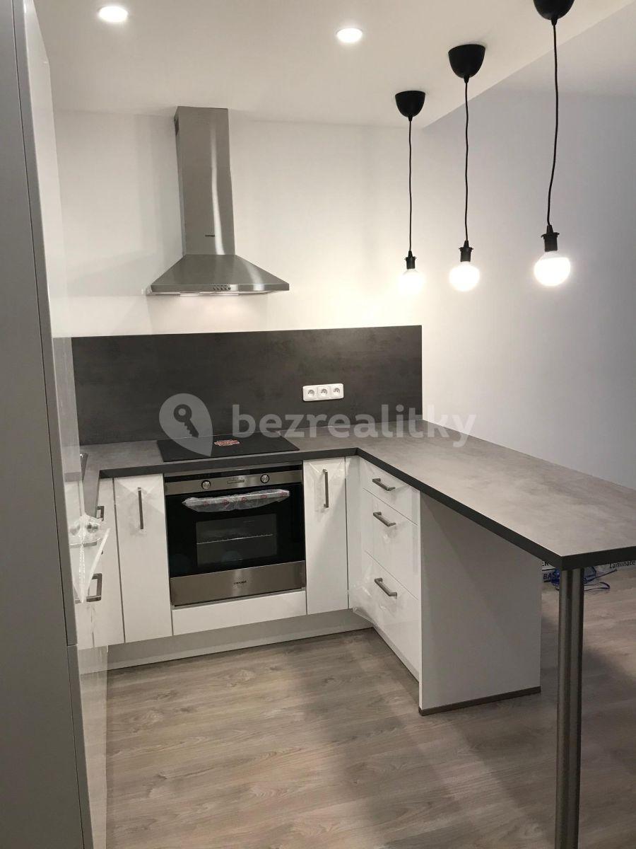 1 bedroom with open-plan kitchen flat to rent, 61 m², Makedonská, Prague, Prague