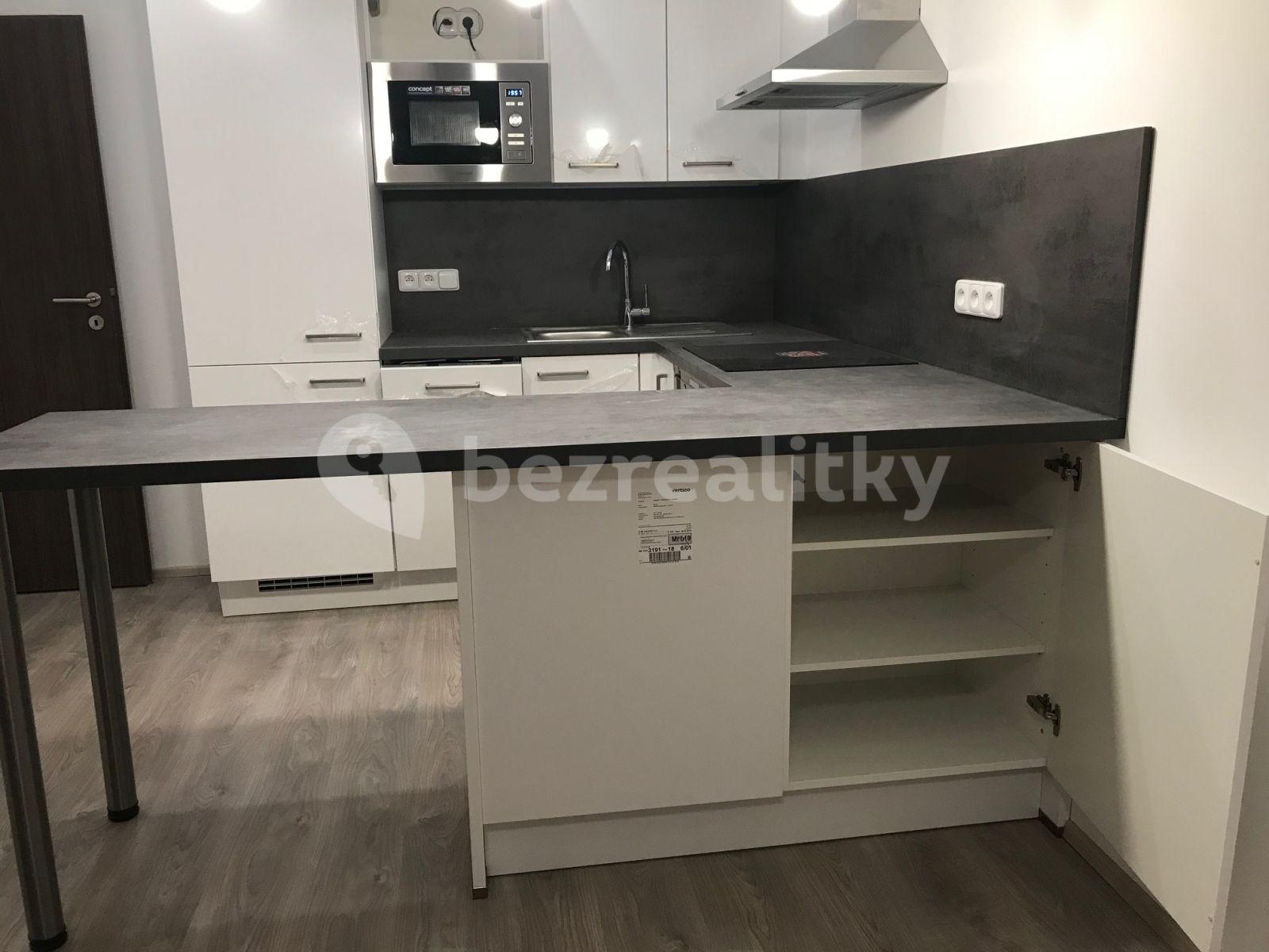 1 bedroom with open-plan kitchen flat to rent, 61 m², Makedonská, Prague, Prague