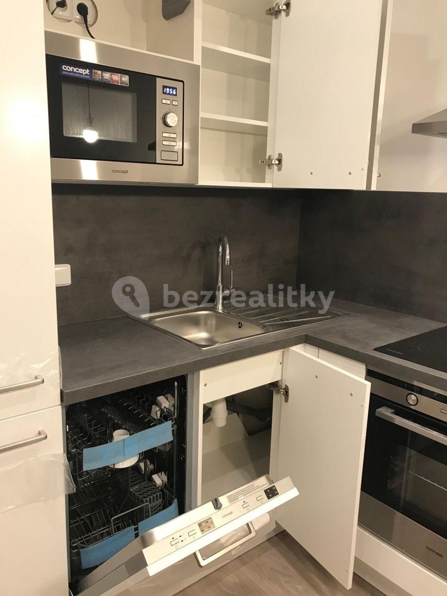 1 bedroom with open-plan kitchen flat to rent, 61 m², Makedonská, Prague, Prague