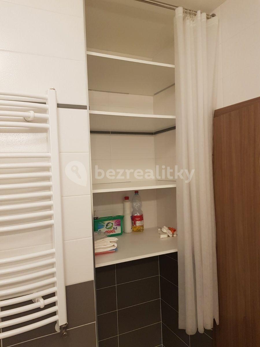 1 bedroom with open-plan kitchen flat to rent, 57 m², Pod Harfou, Prague, Prague