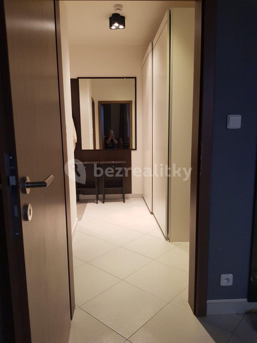 1 bedroom with open-plan kitchen flat to rent, 57 m², Pod Harfou, Prague, Prague