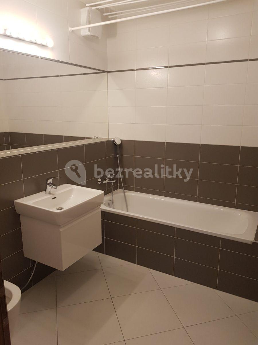 1 bedroom with open-plan kitchen flat to rent, 57 m², Pod Harfou, Prague, Prague