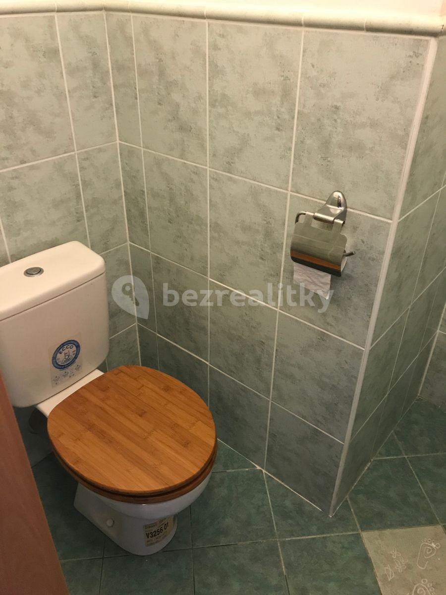 Small studio flat to rent, 36 m², Jilmová, Prague, Prague