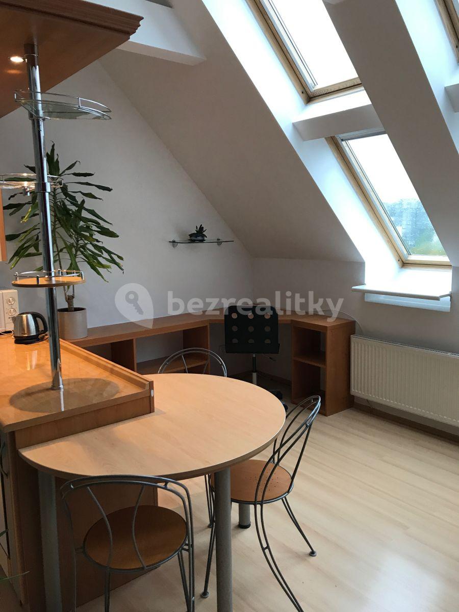 Small studio flat to rent, 36 m², Jilmová, Prague, Prague