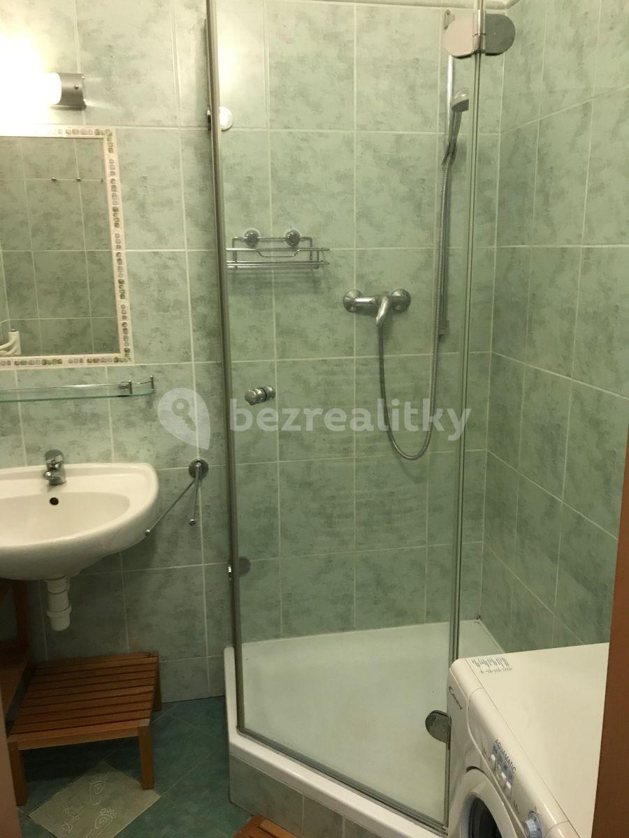 Small studio flat to rent, 36 m², Jilmová, Prague, Prague