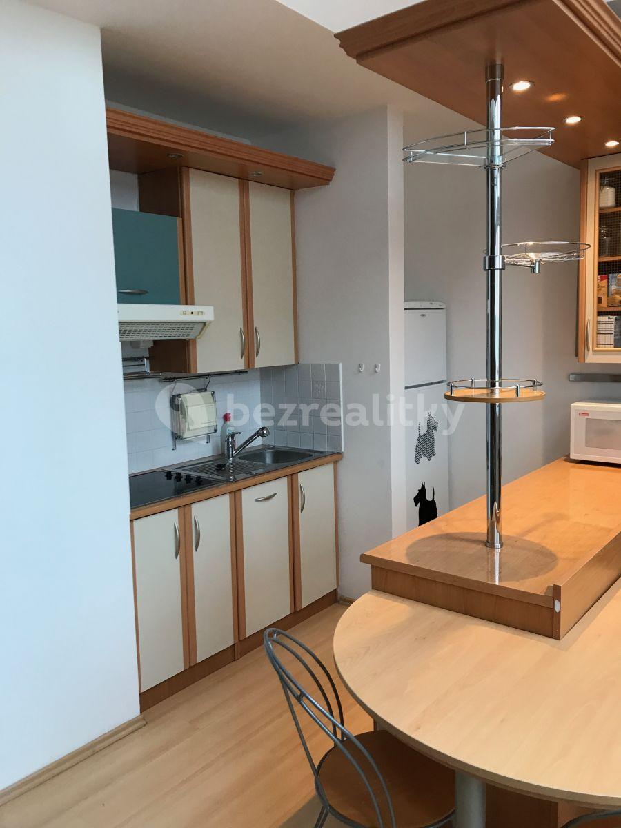 Small studio flat to rent, 36 m², Jilmová, Prague, Prague