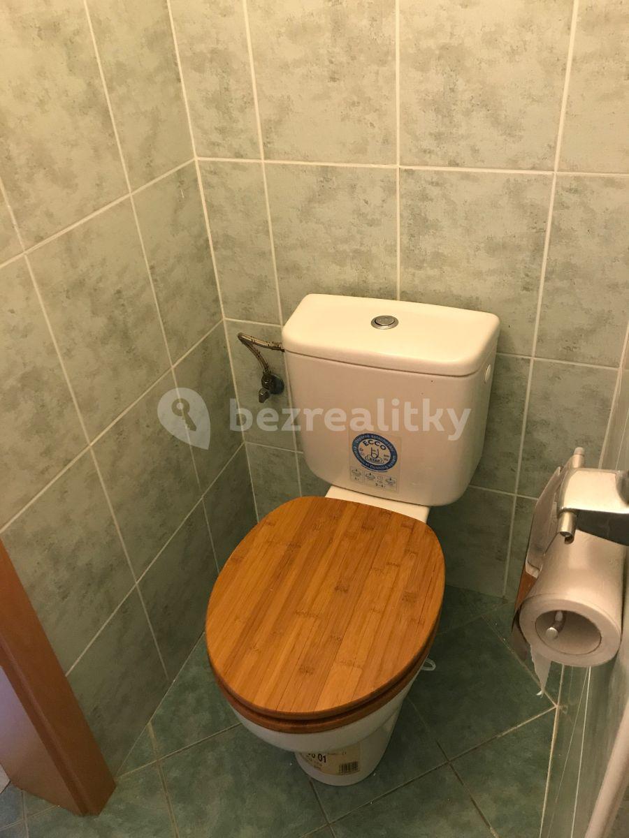 Small studio flat to rent, 36 m², Jilmová, Prague, Prague