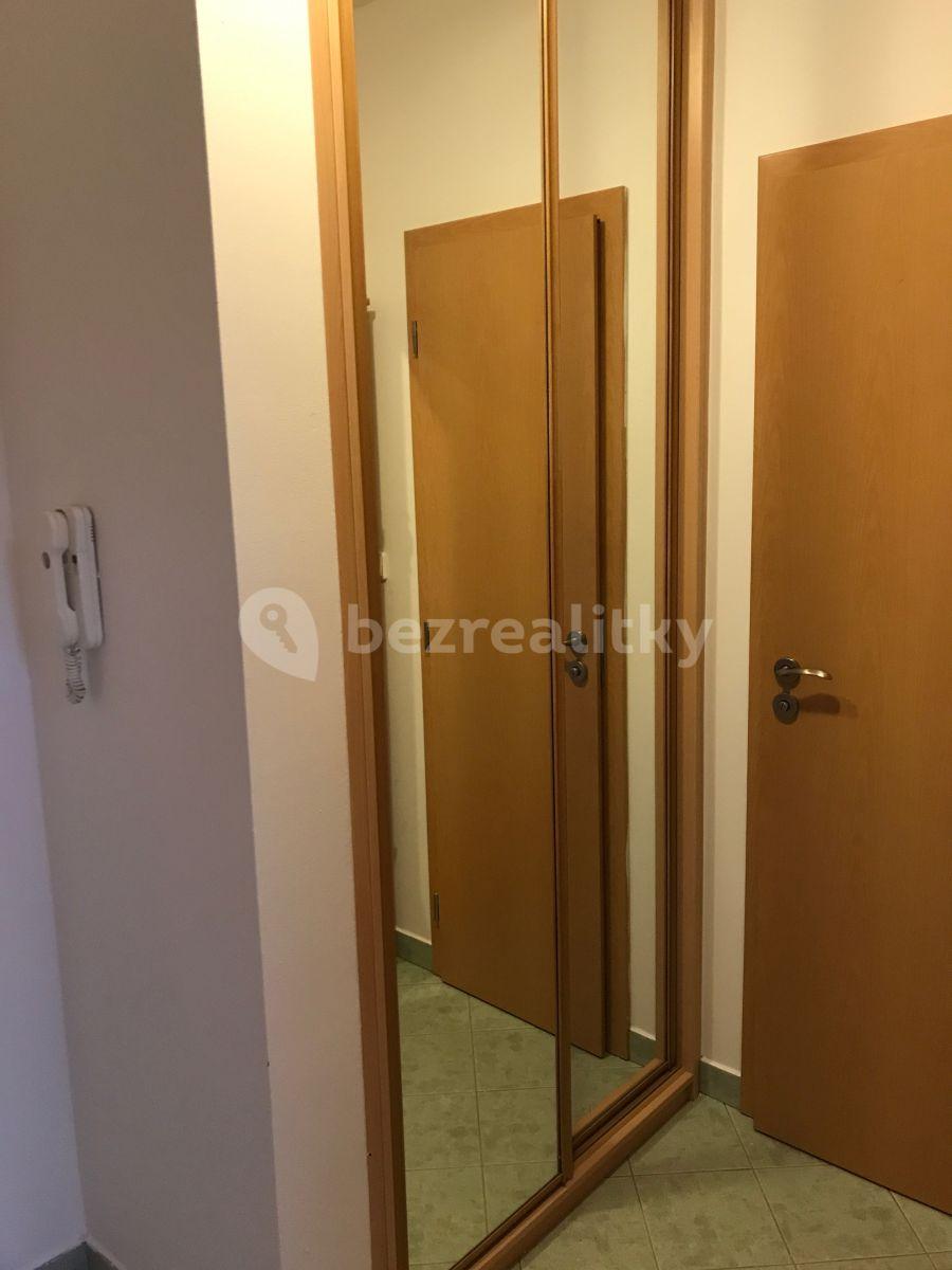 Small studio flat to rent, 36 m², Jilmová, Prague, Prague