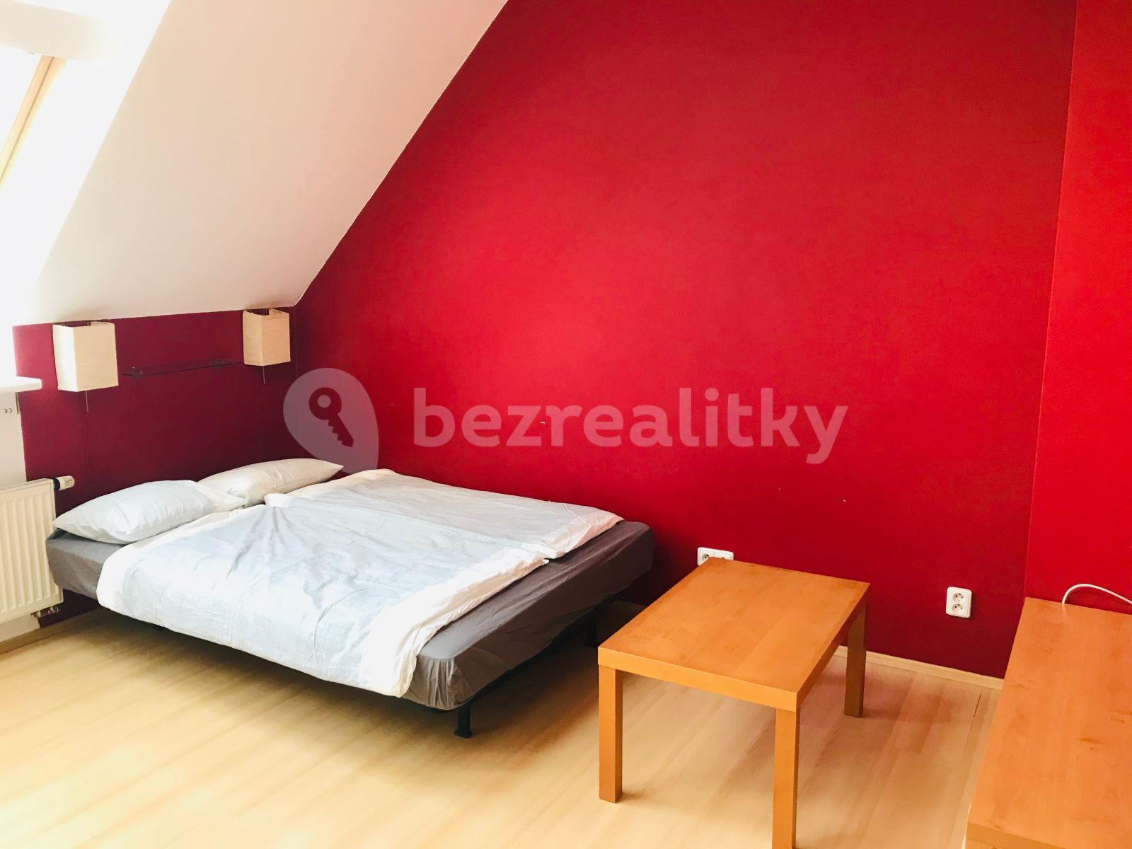 Small studio flat to rent, 36 m², Jilmová, Prague, Prague