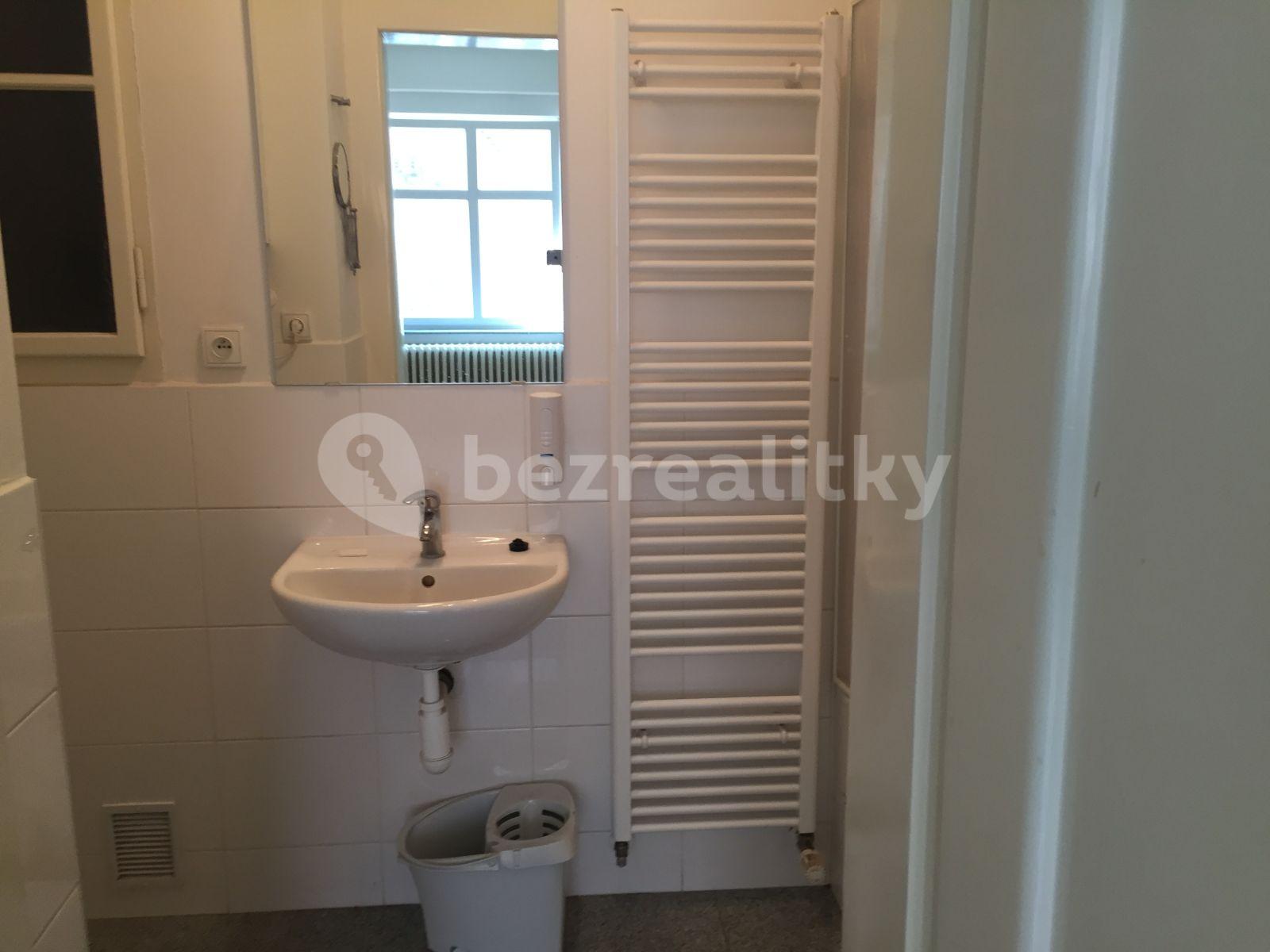 1 bedroom with open-plan kitchen flat to rent, 40 m², Starostrašnická, Prague, Prague