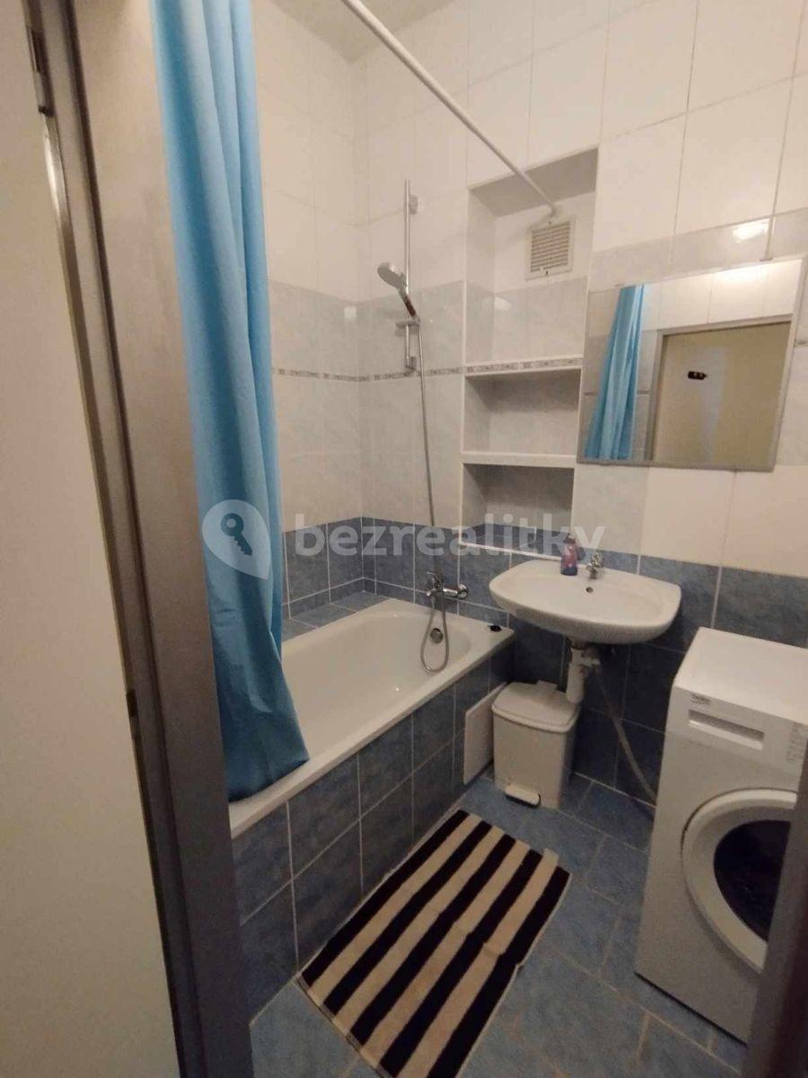 2 bedroom with open-plan kitchen flat to rent, 79 m², U Invalidovny, Prague, Prague