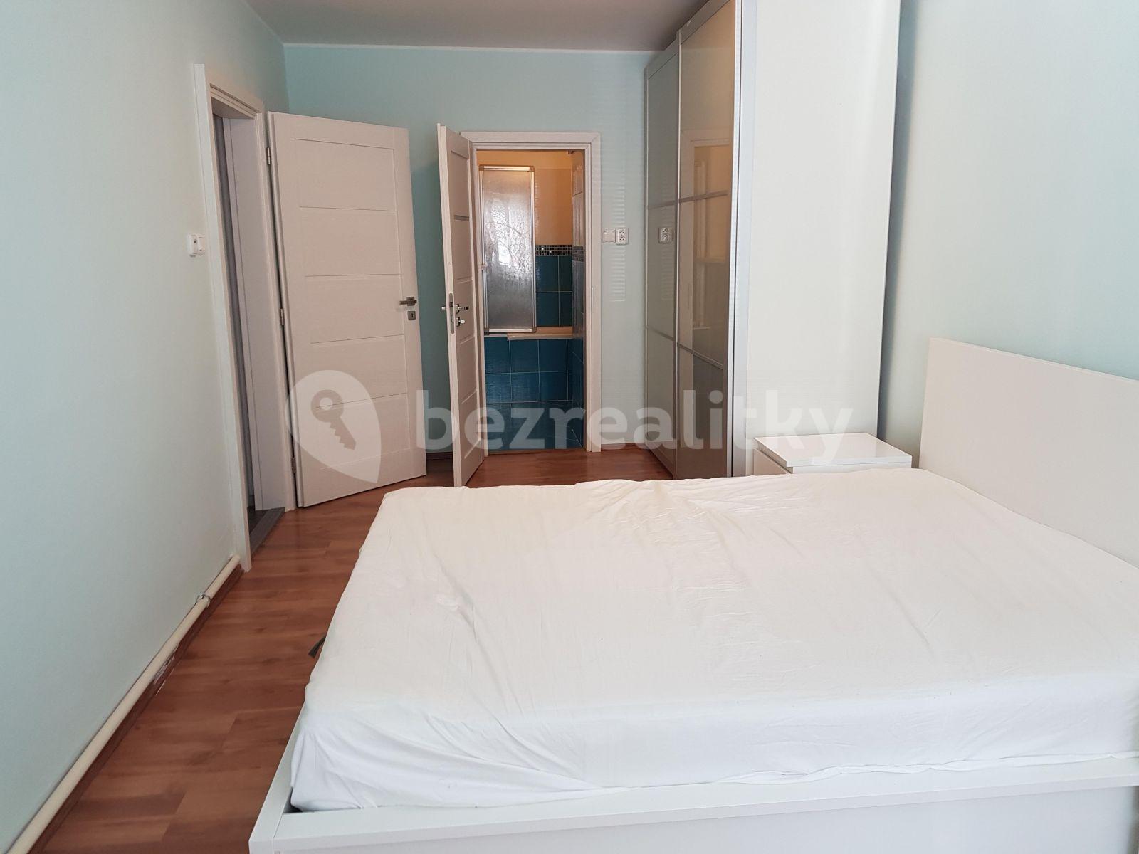 1 bedroom with open-plan kitchen flat to rent, 47 m², V Mezihoří, Prague, Prague