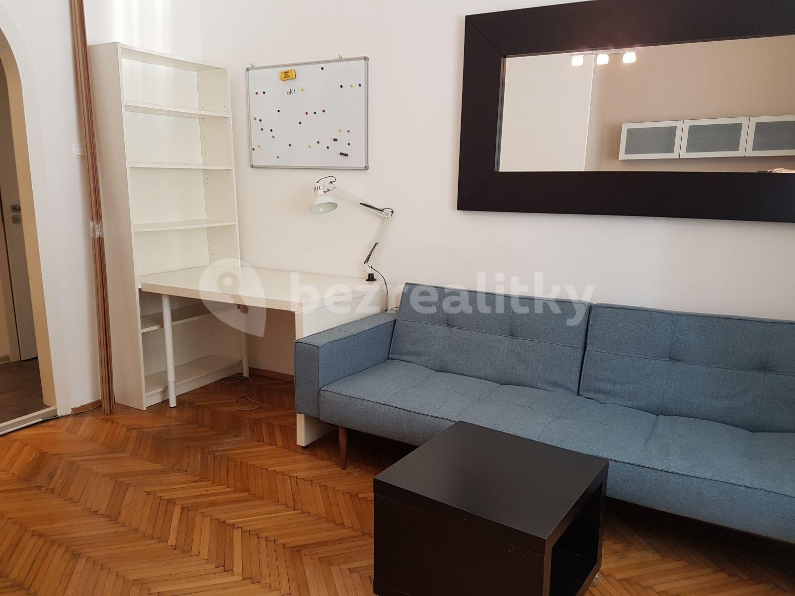 1 bedroom with open-plan kitchen flat to rent, 47 m², V Mezihoří, Prague, Prague