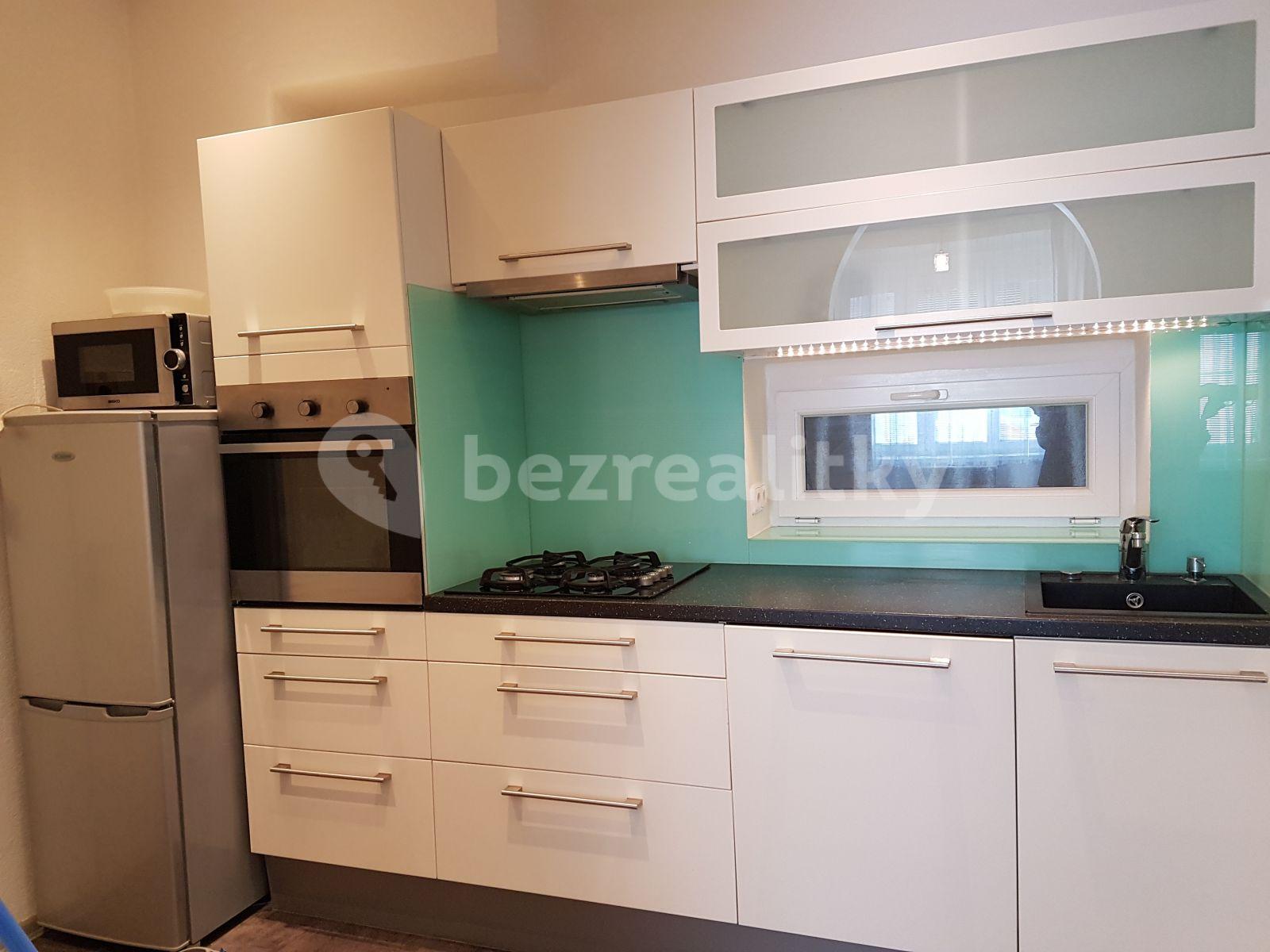 1 bedroom with open-plan kitchen flat to rent, 47 m², V Mezihoří, Prague, Prague