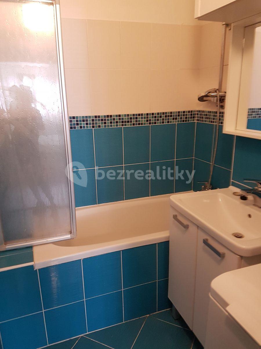 1 bedroom with open-plan kitchen flat to rent, 47 m², V Mezihoří, Prague, Prague