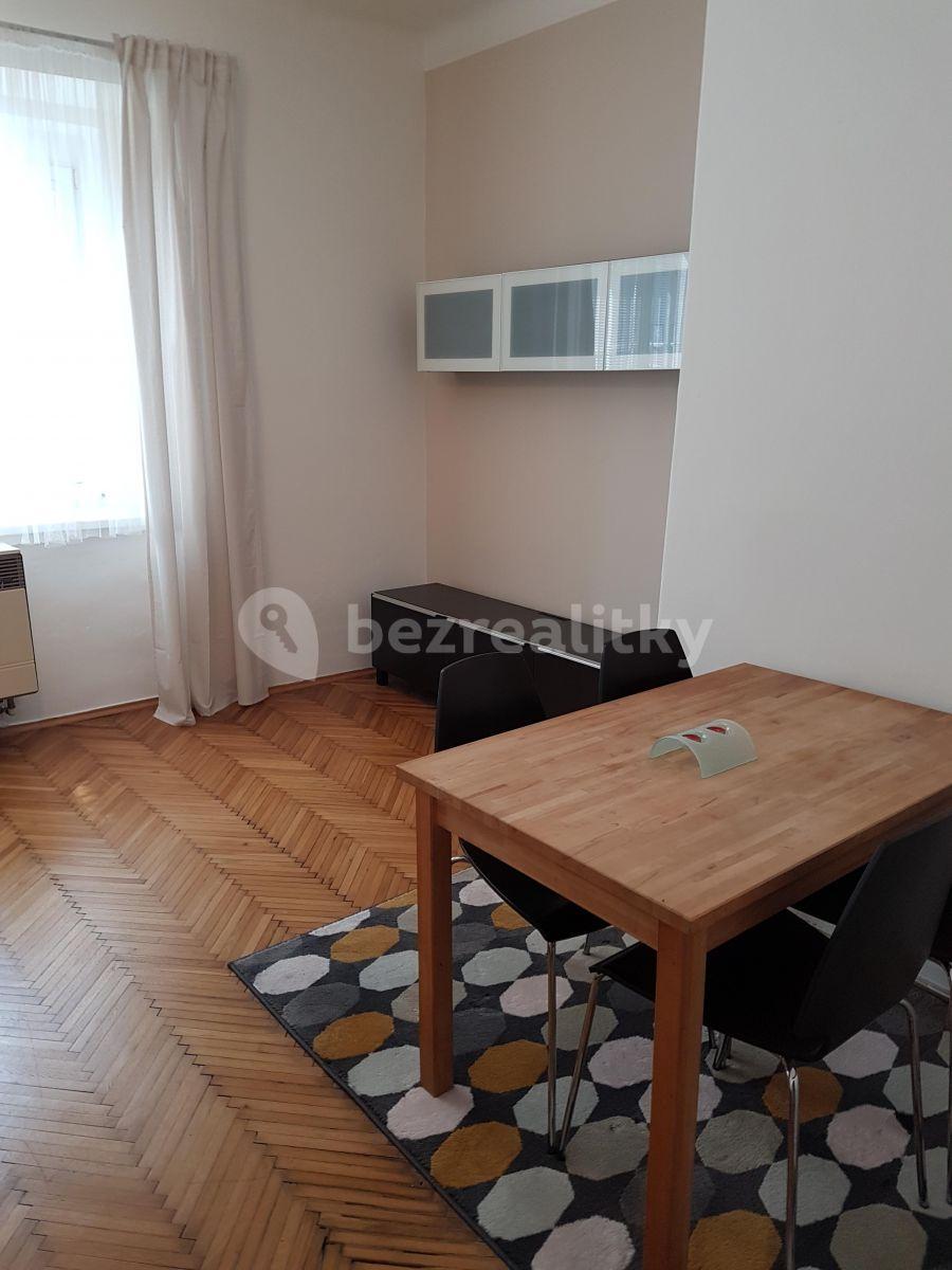 1 bedroom with open-plan kitchen flat to rent, 47 m², V Mezihoří, Prague, Prague