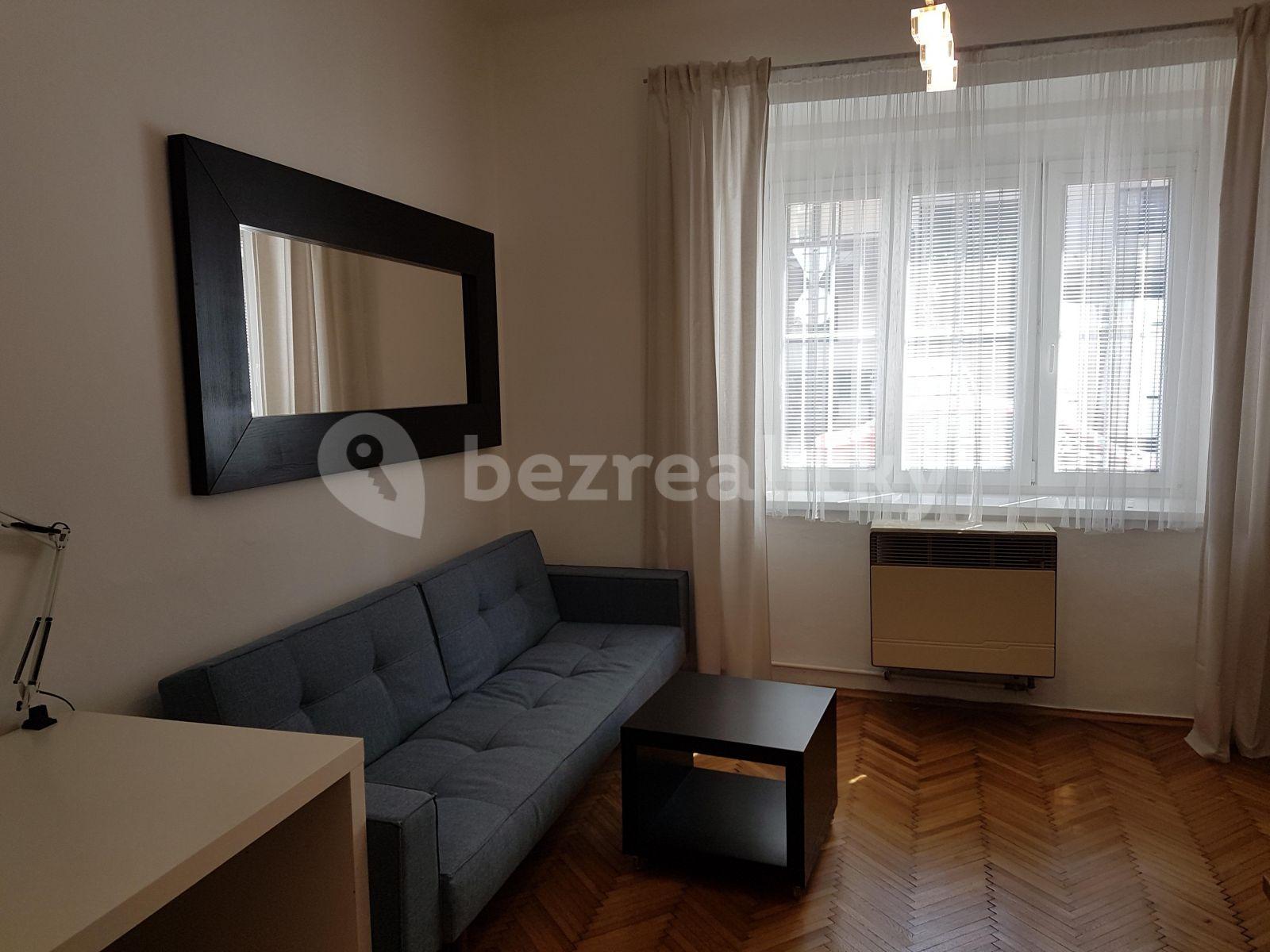 1 bedroom with open-plan kitchen flat to rent, 47 m², V Mezihoří, Prague, Prague