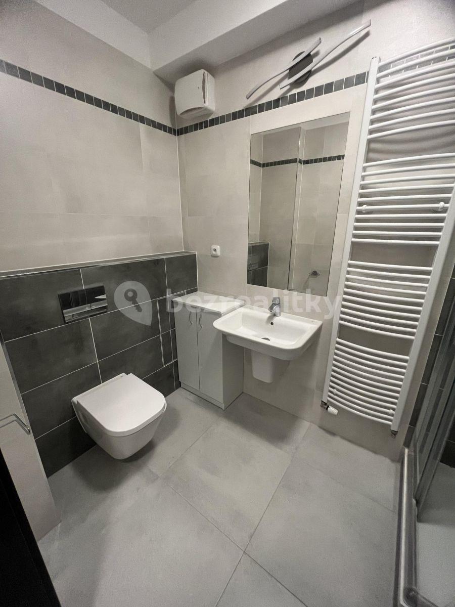 Studio flat to rent, 28 m², Honzíkova, Prague, Prague