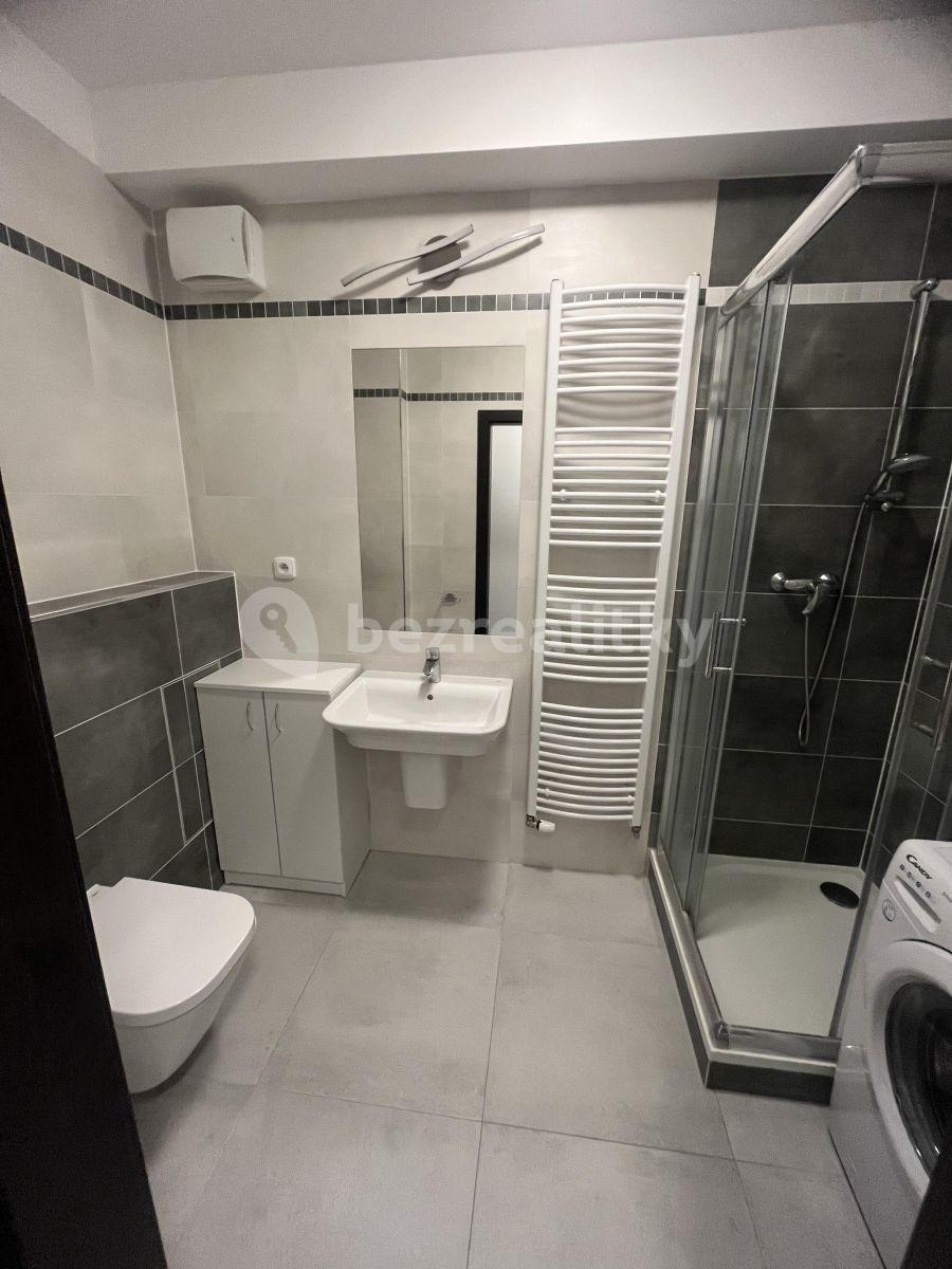 Studio flat to rent, 28 m², Honzíkova, Prague, Prague