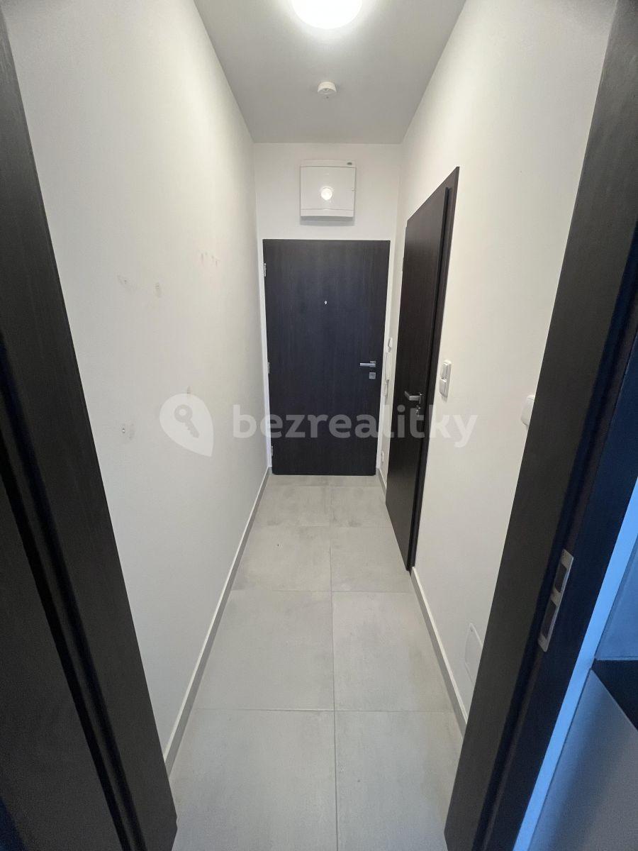 Studio flat to rent, 28 m², Honzíkova, Prague, Prague