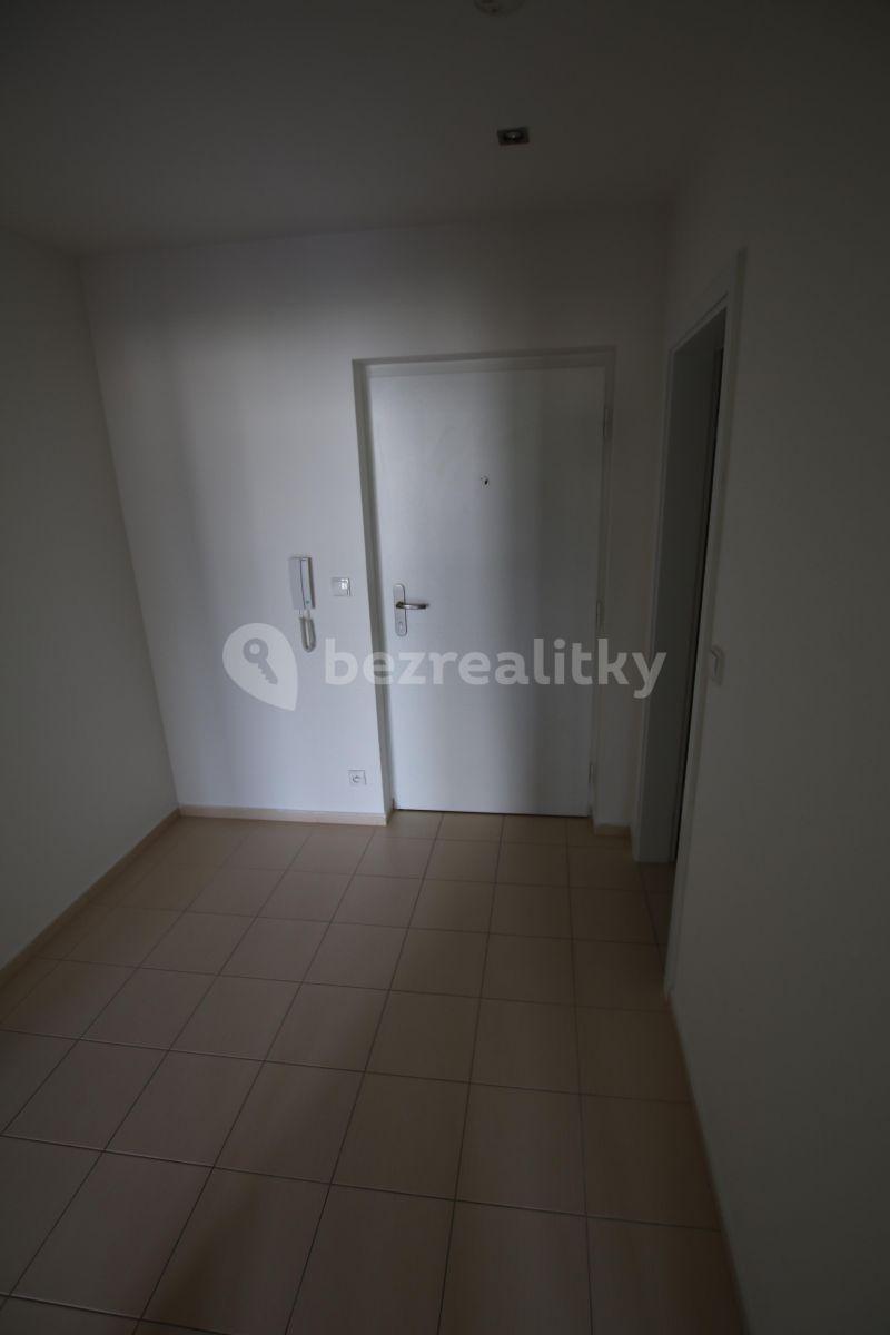 1 bedroom with open-plan kitchen flat to rent, 54 m², Plzeňská, Prague, Prague