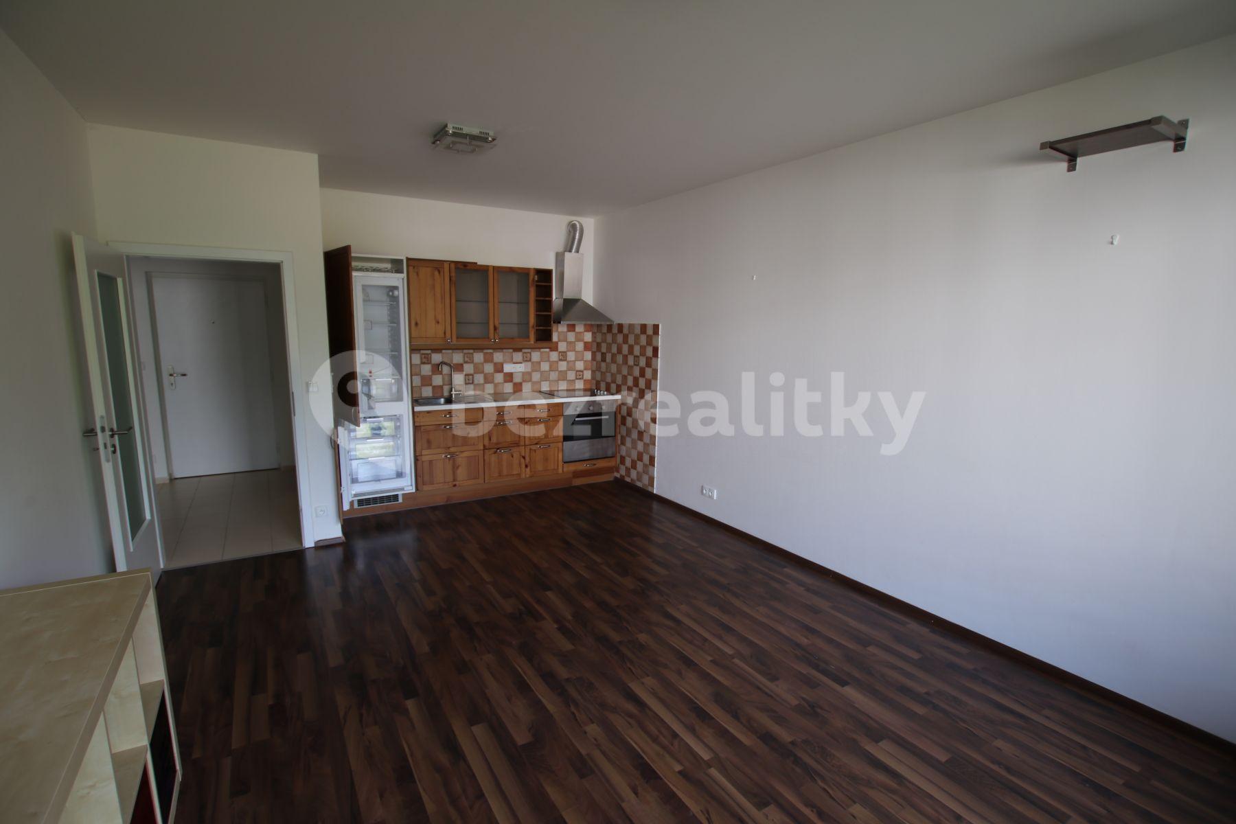 1 bedroom with open-plan kitchen flat to rent, 54 m², Plzeňská, Prague, Prague