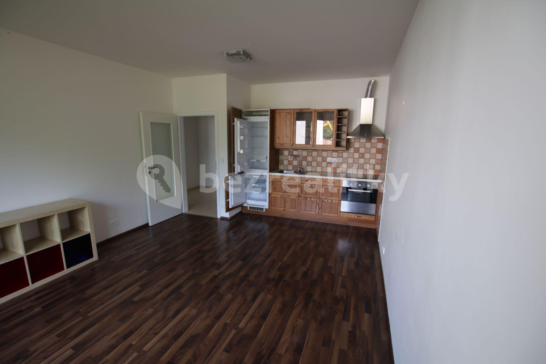 1 bedroom with open-plan kitchen flat to rent, 54 m², Plzeňská, Prague, Prague