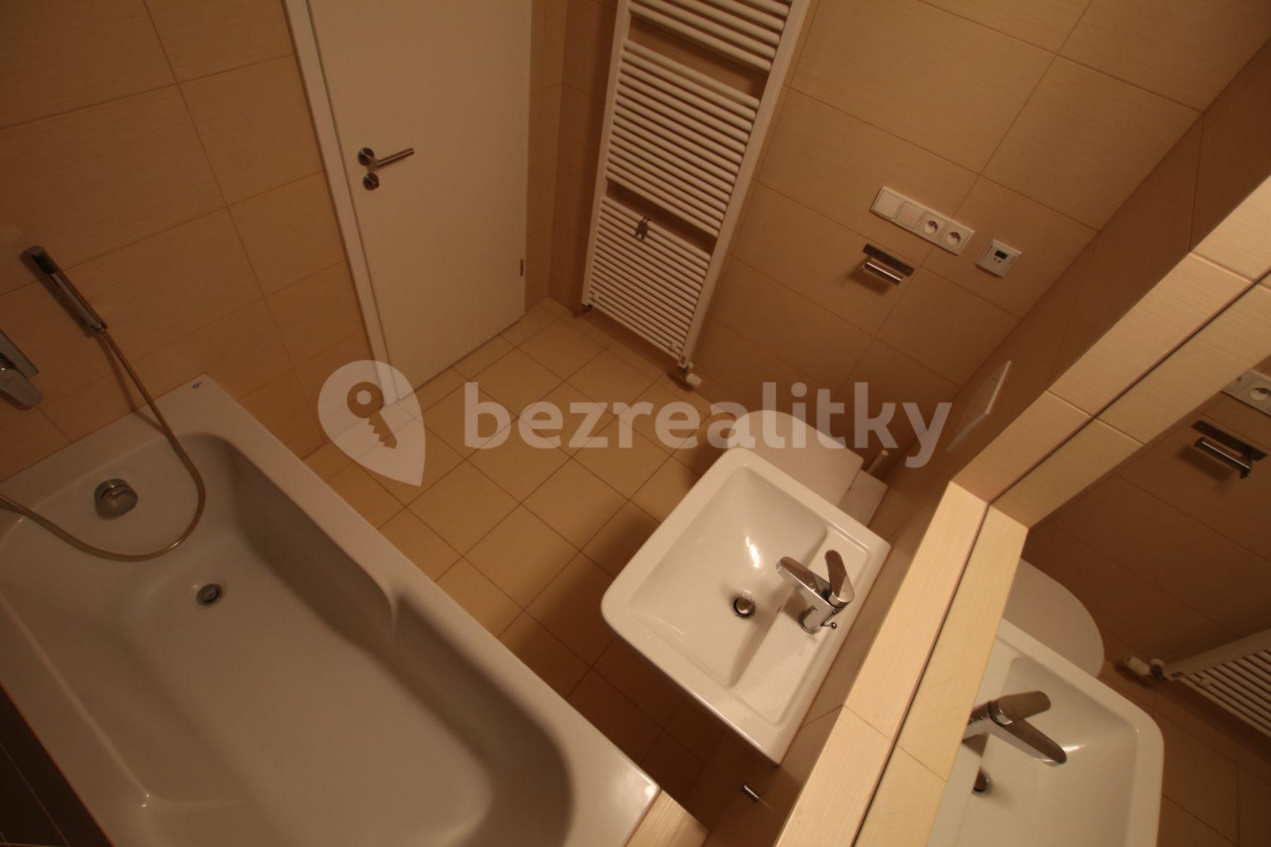 1 bedroom with open-plan kitchen flat to rent, 54 m², Plzeňská, Prague, Prague