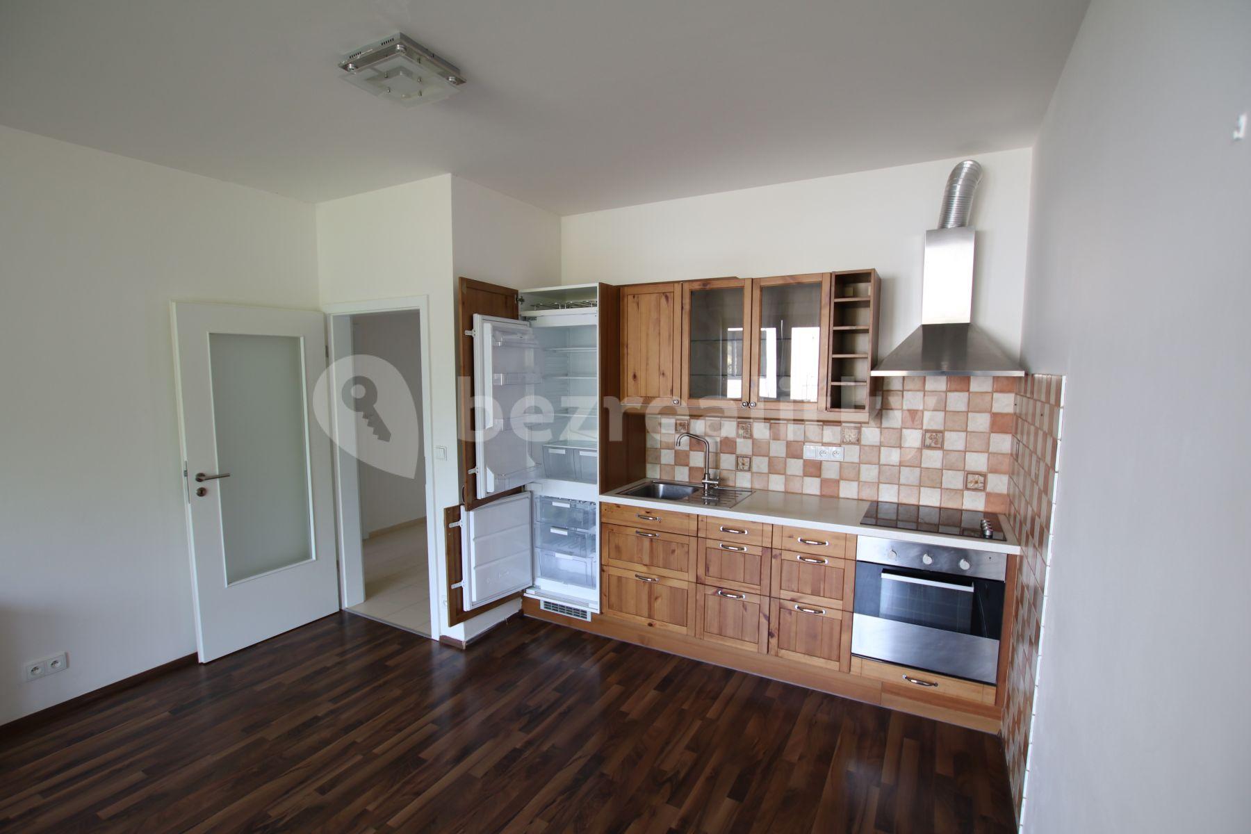 1 bedroom with open-plan kitchen flat to rent, 54 m², Plzeňská, Prague, Prague