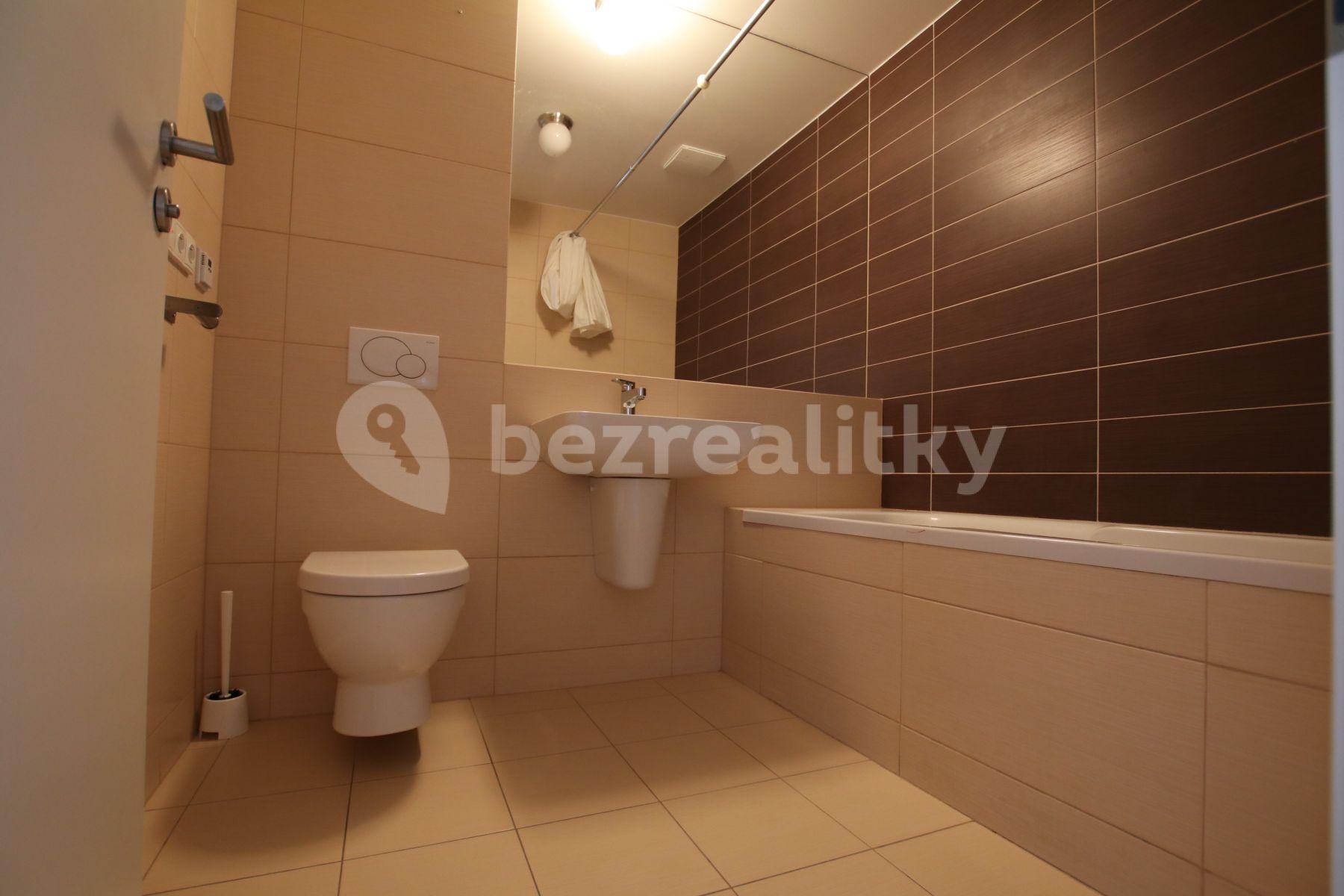 1 bedroom with open-plan kitchen flat to rent, 54 m², Plzeňská, Prague, Prague