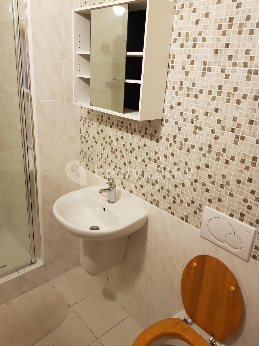 Studio flat to rent, 30 m², Braunerova, Prague, Prague