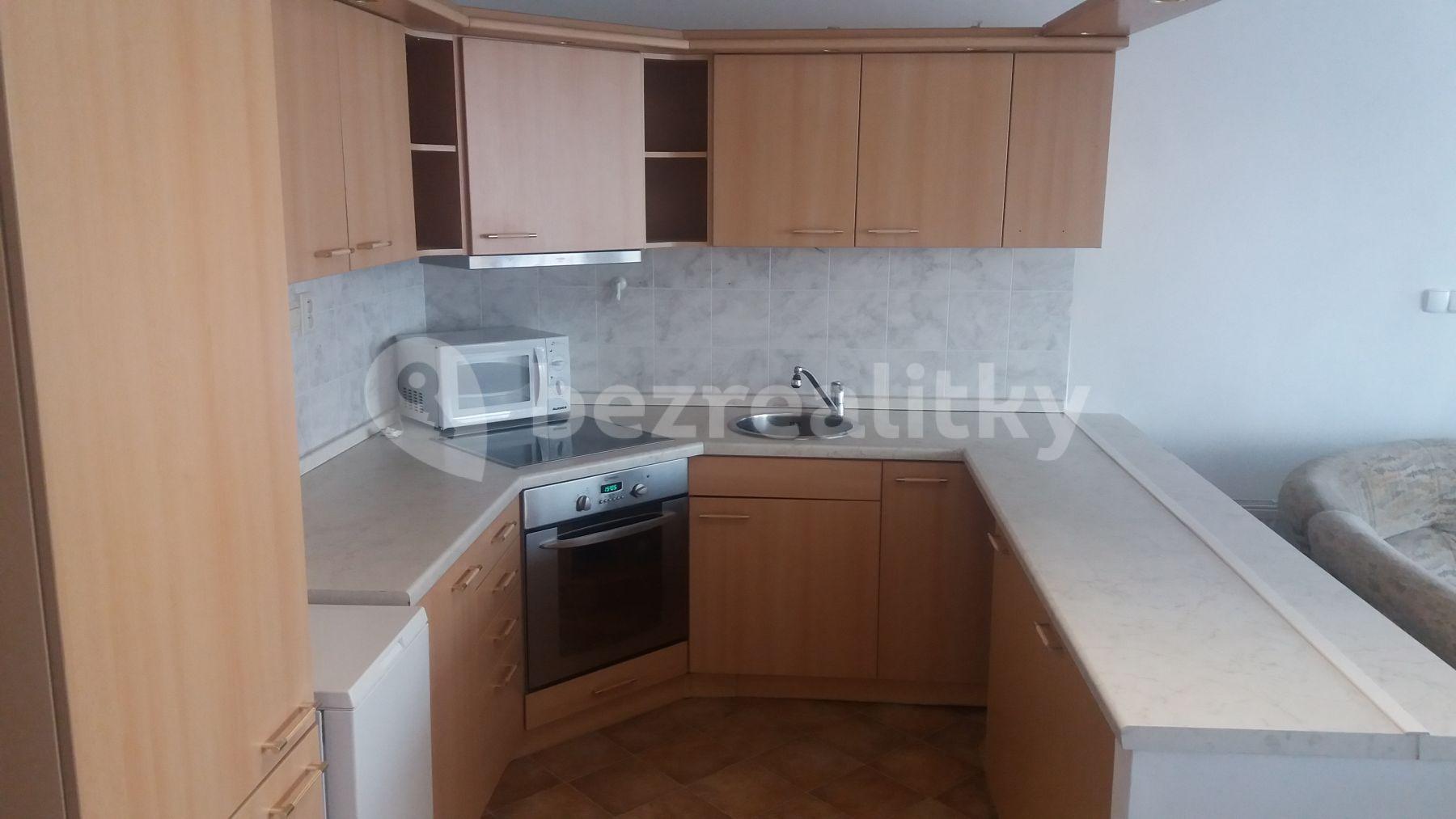 1 bedroom with open-plan kitchen flat to rent, 55 m², Nechanická, Prague, Prague