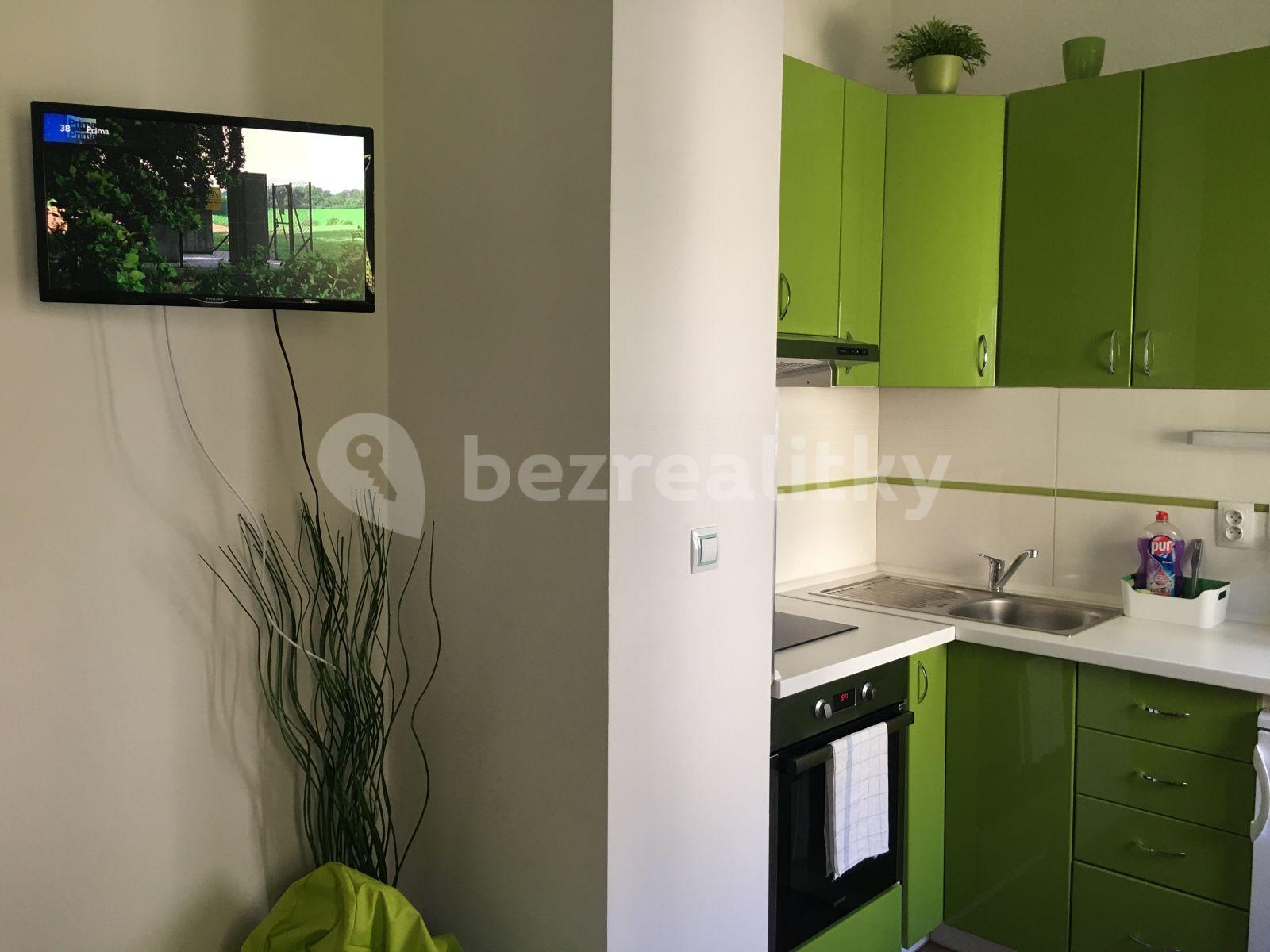 Studio flat to rent, 20 m², Pod Labuťkou, Prague, Prague