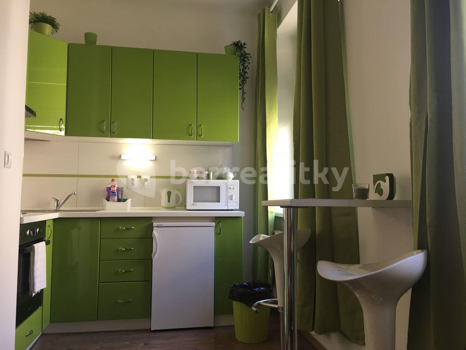 Studio flat to rent, 20 m², Pod Labuťkou, Prague, Prague