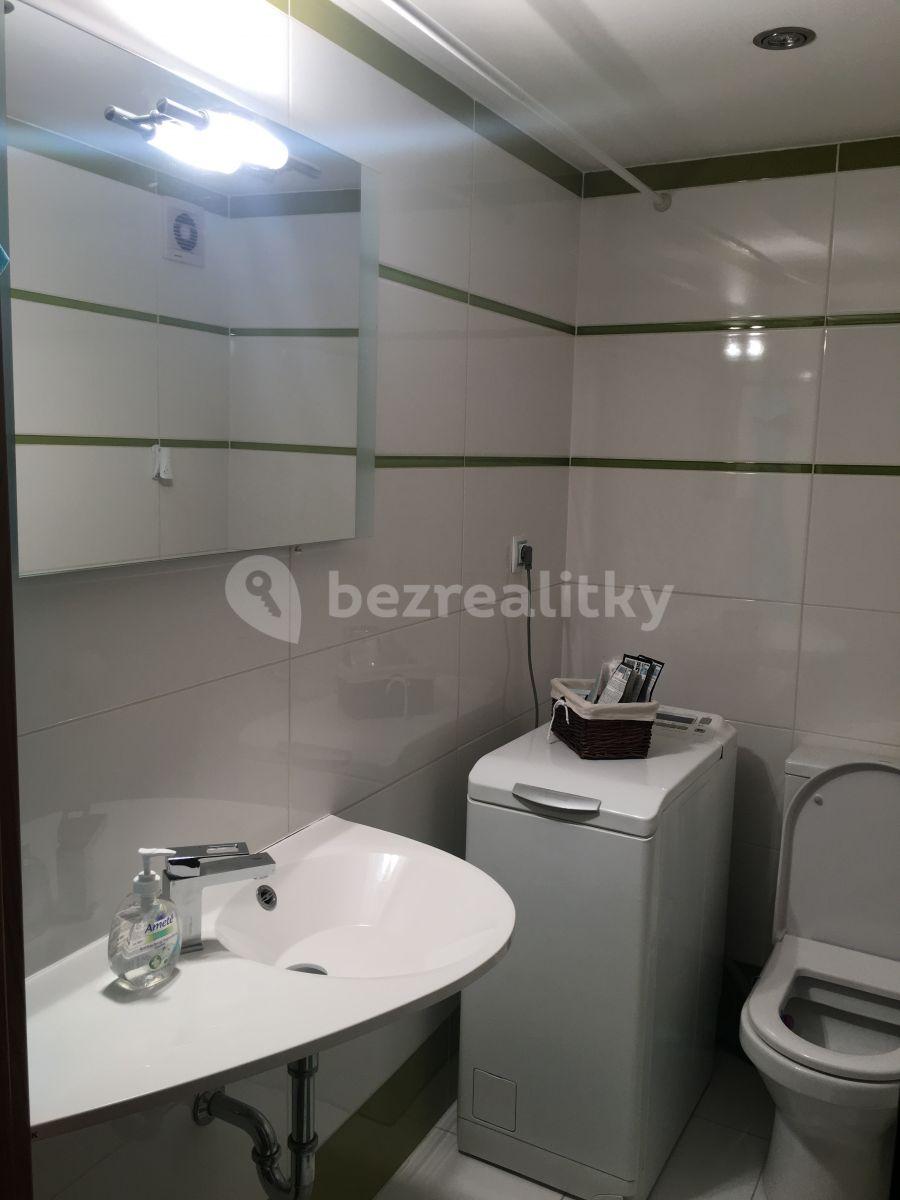 Studio flat to rent, 20 m², Pod Labuťkou, Prague, Prague