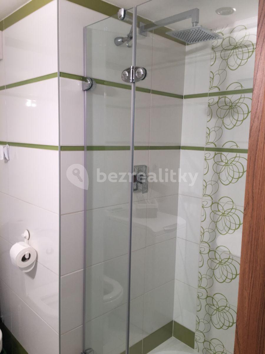 Studio flat to rent, 20 m², Pod Labuťkou, Prague, Prague