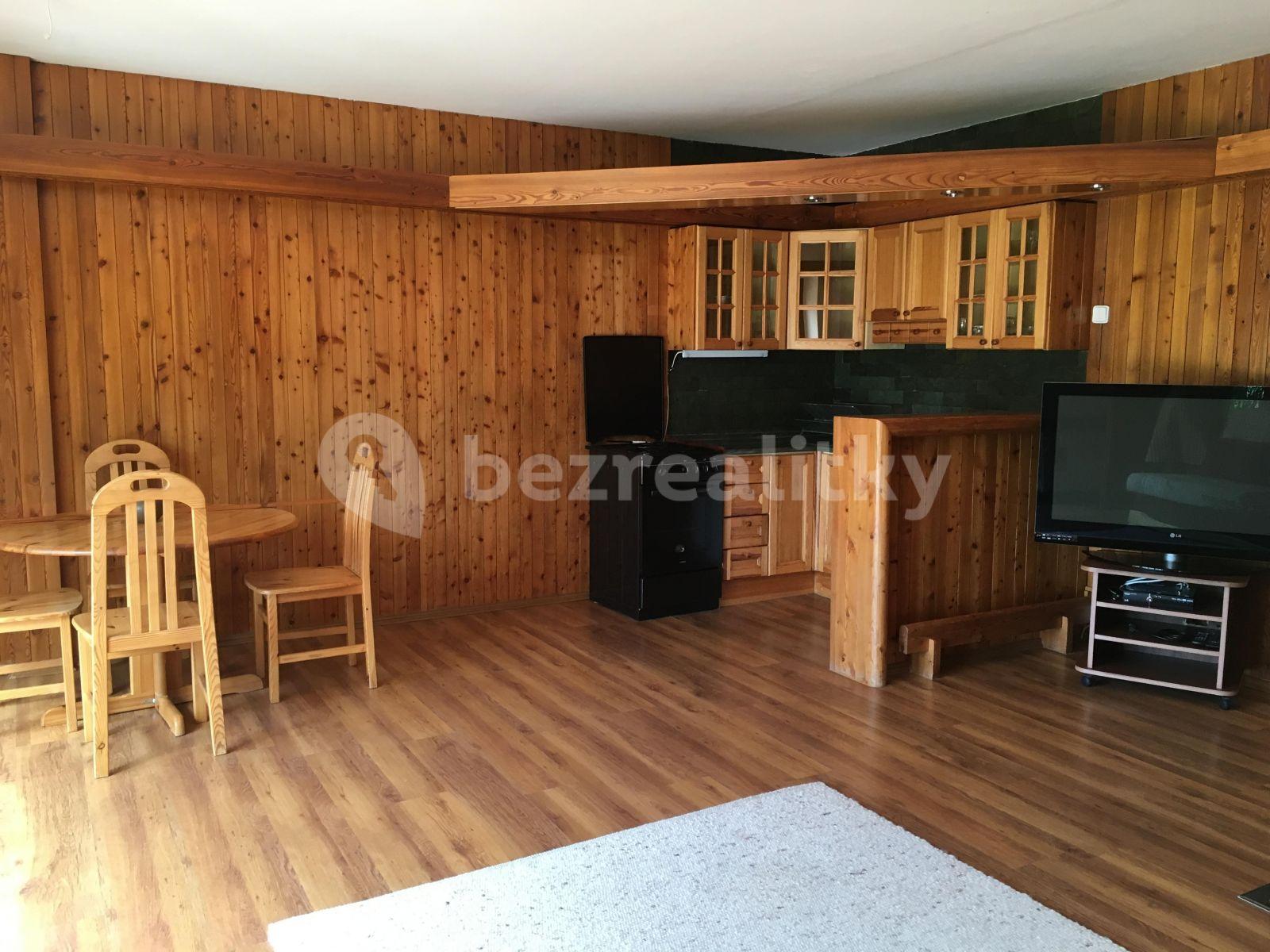 1 bedroom with open-plan kitchen flat to rent, 68 m², Bolívarova, Prague, Prague