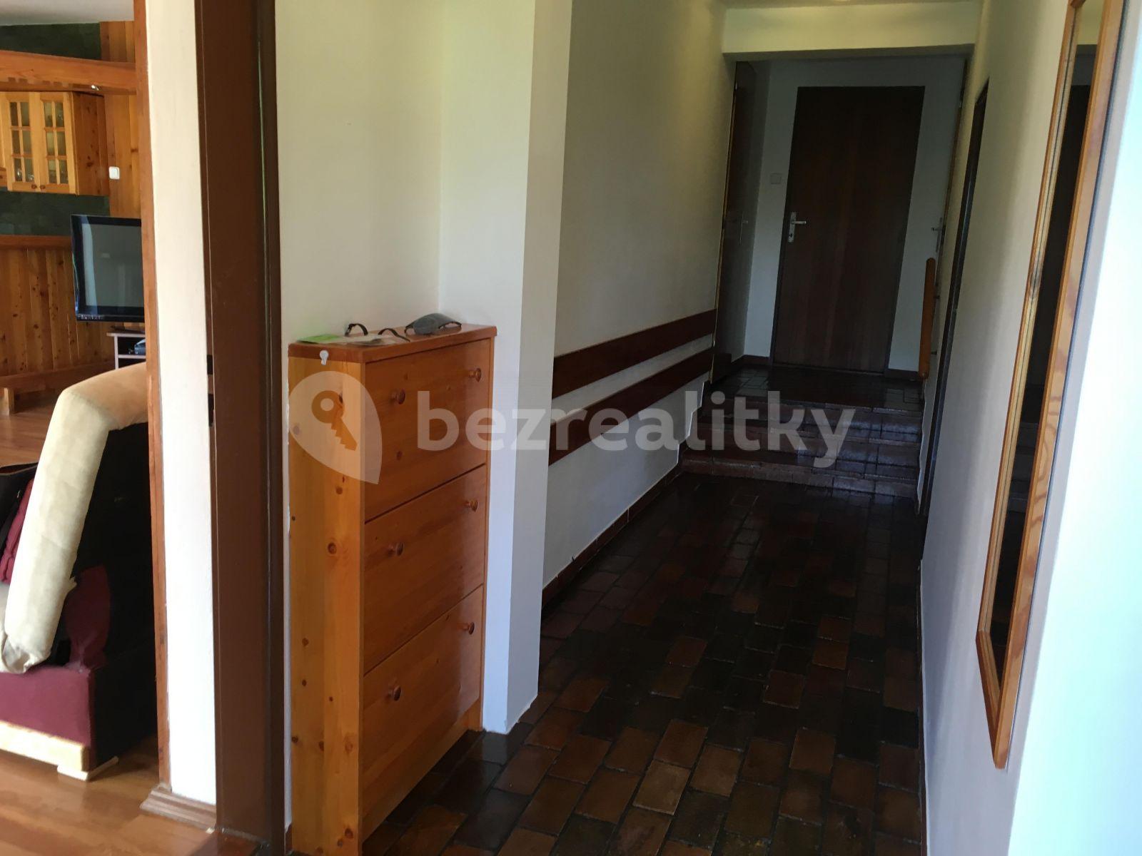 1 bedroom with open-plan kitchen flat to rent, 68 m², Bolívarova, Prague, Prague