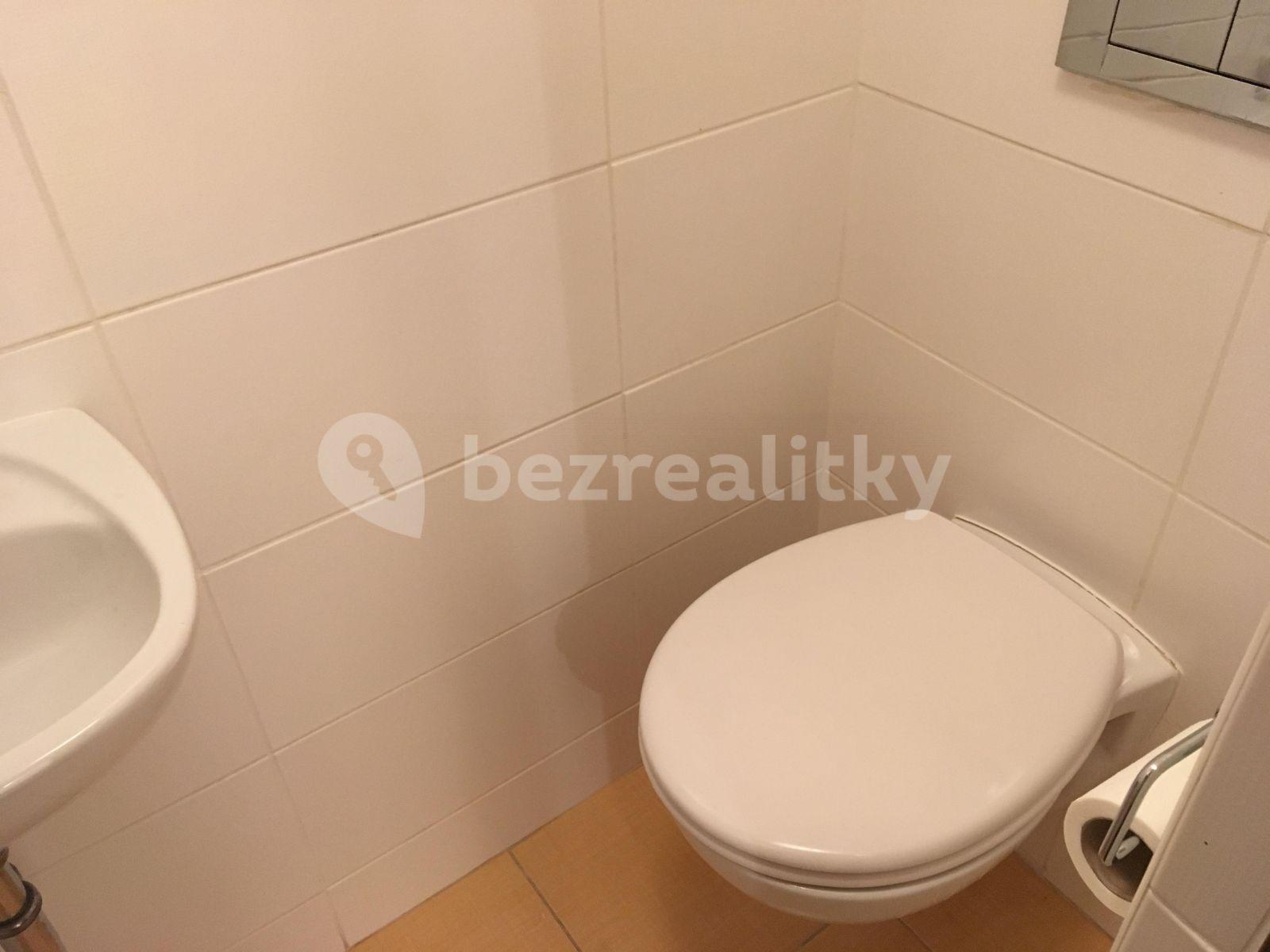 1 bedroom with open-plan kitchen flat to rent, 68 m², Bolívarova, Prague, Prague