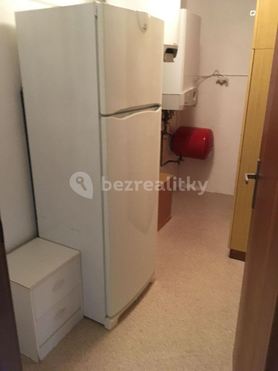 1 bedroom with open-plan kitchen flat to rent, 68 m², Bolívarova, Prague, Prague