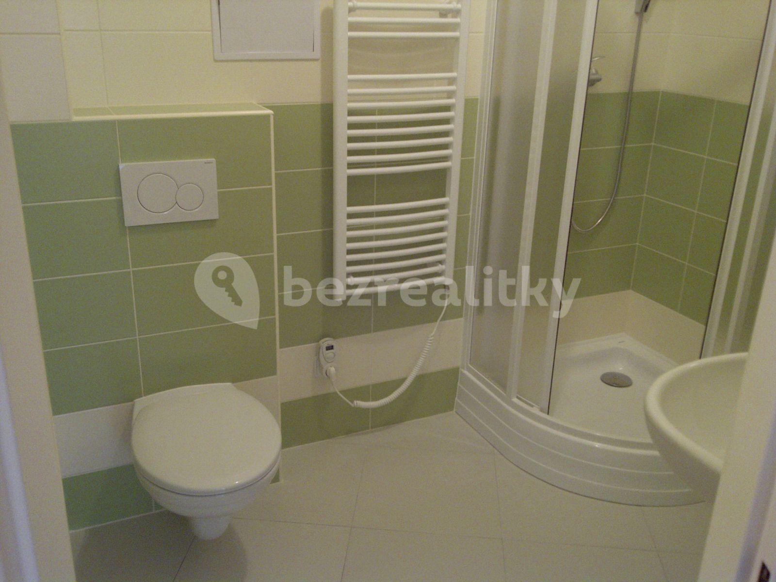 1 bedroom flat to rent, 51 m², U Křížku, Prague, Prague