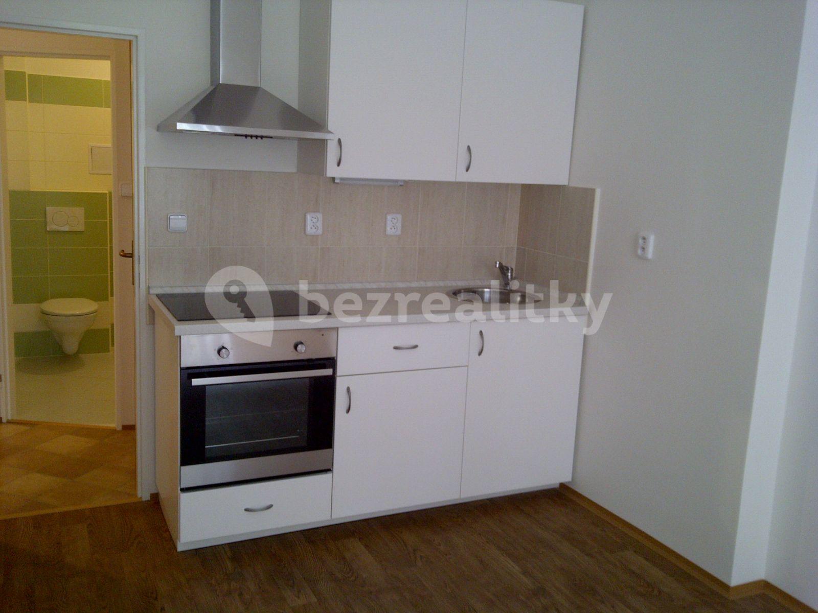 1 bedroom flat to rent, 51 m², U Křížku, Prague, Prague